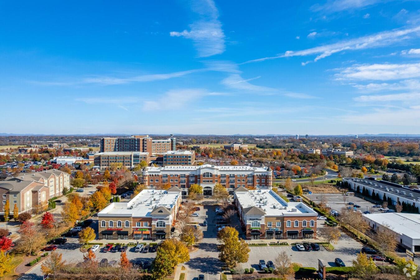 Glamorous 1BR Condo 200ft to St. Thomas Hospital