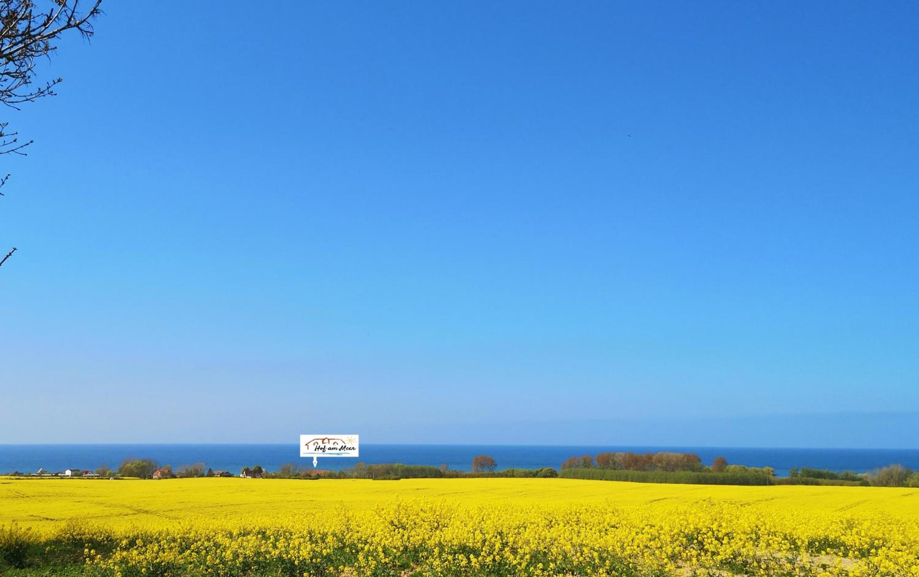Hof am Meer 