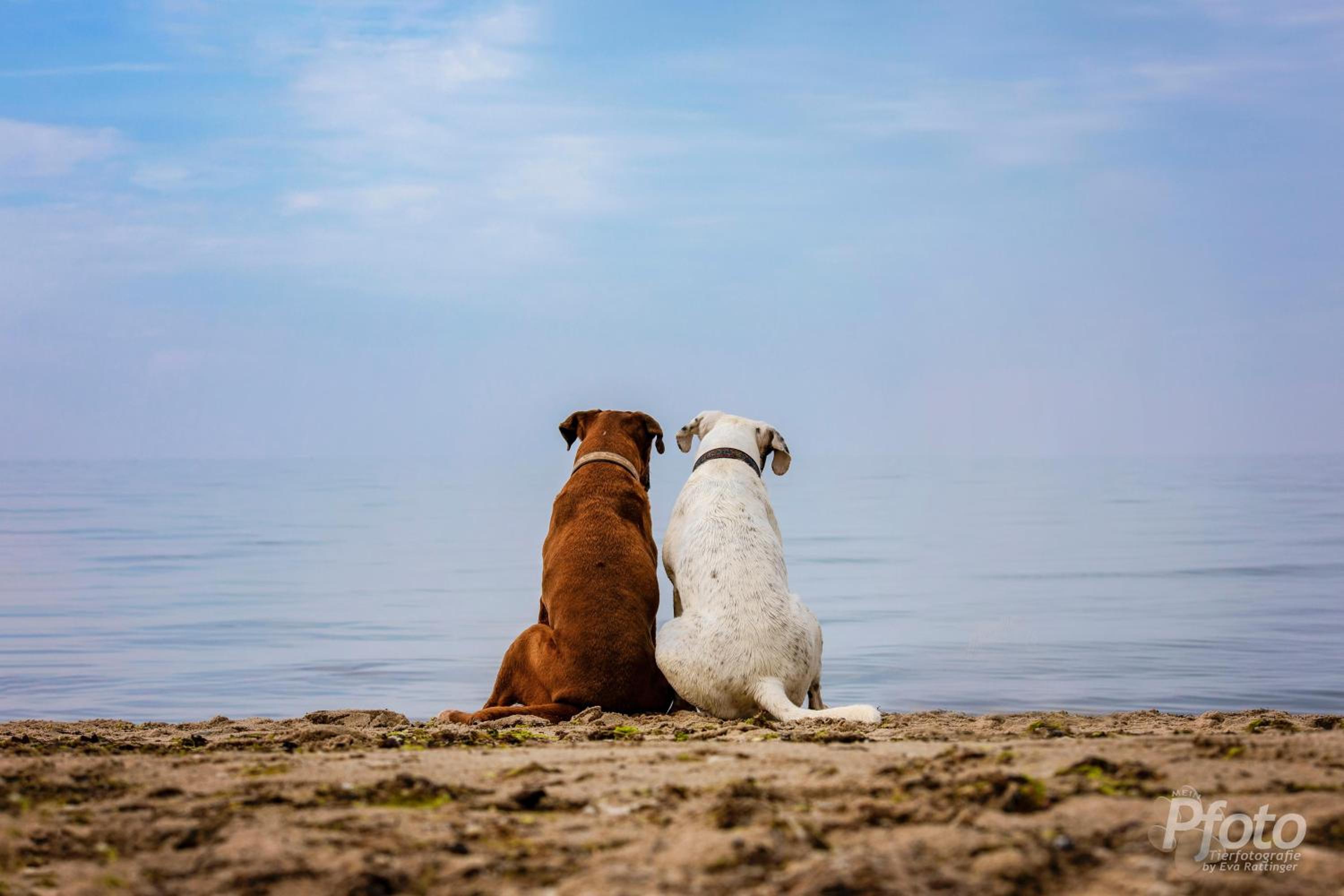 Hof am Meer 