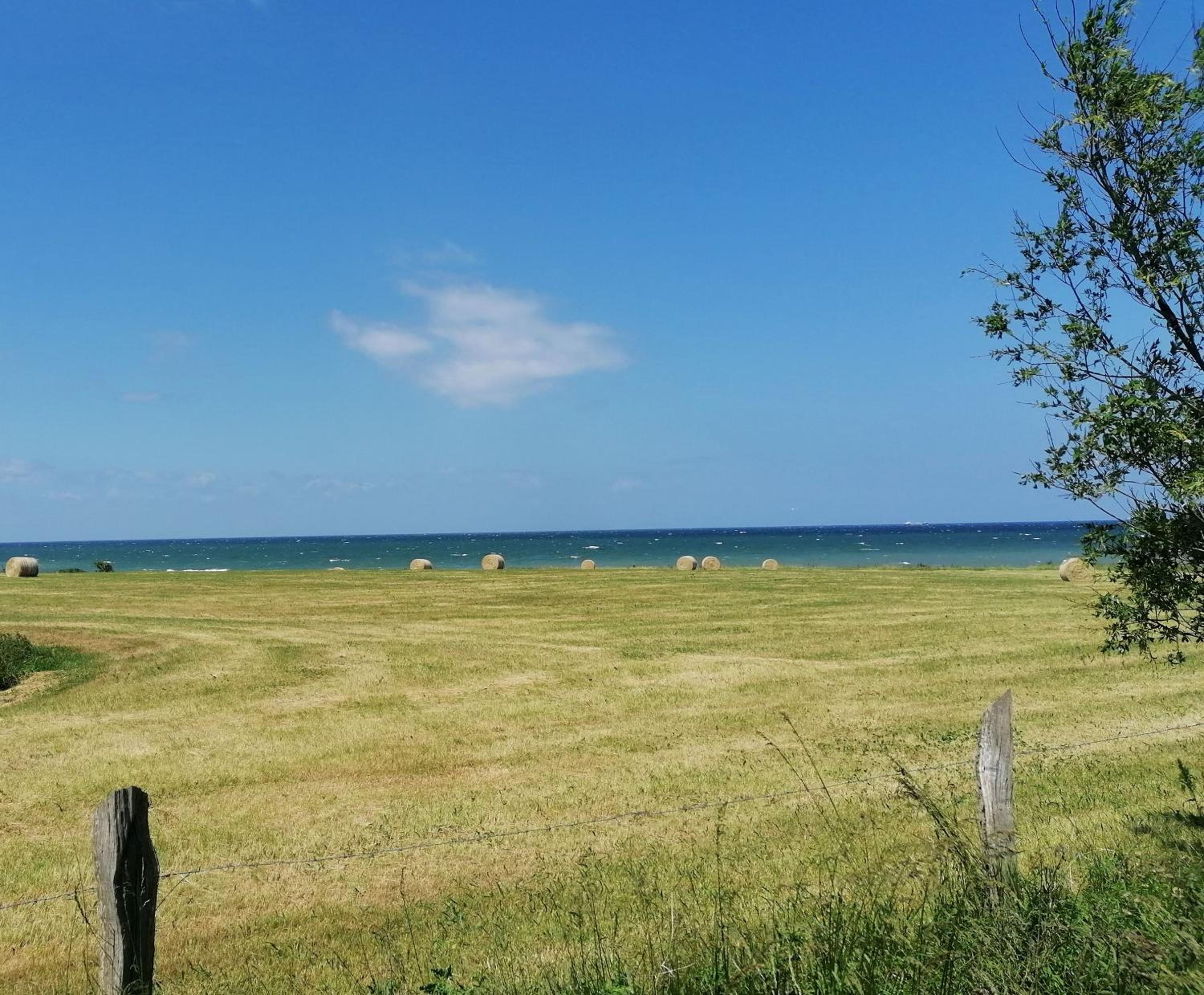 Hof am Meer