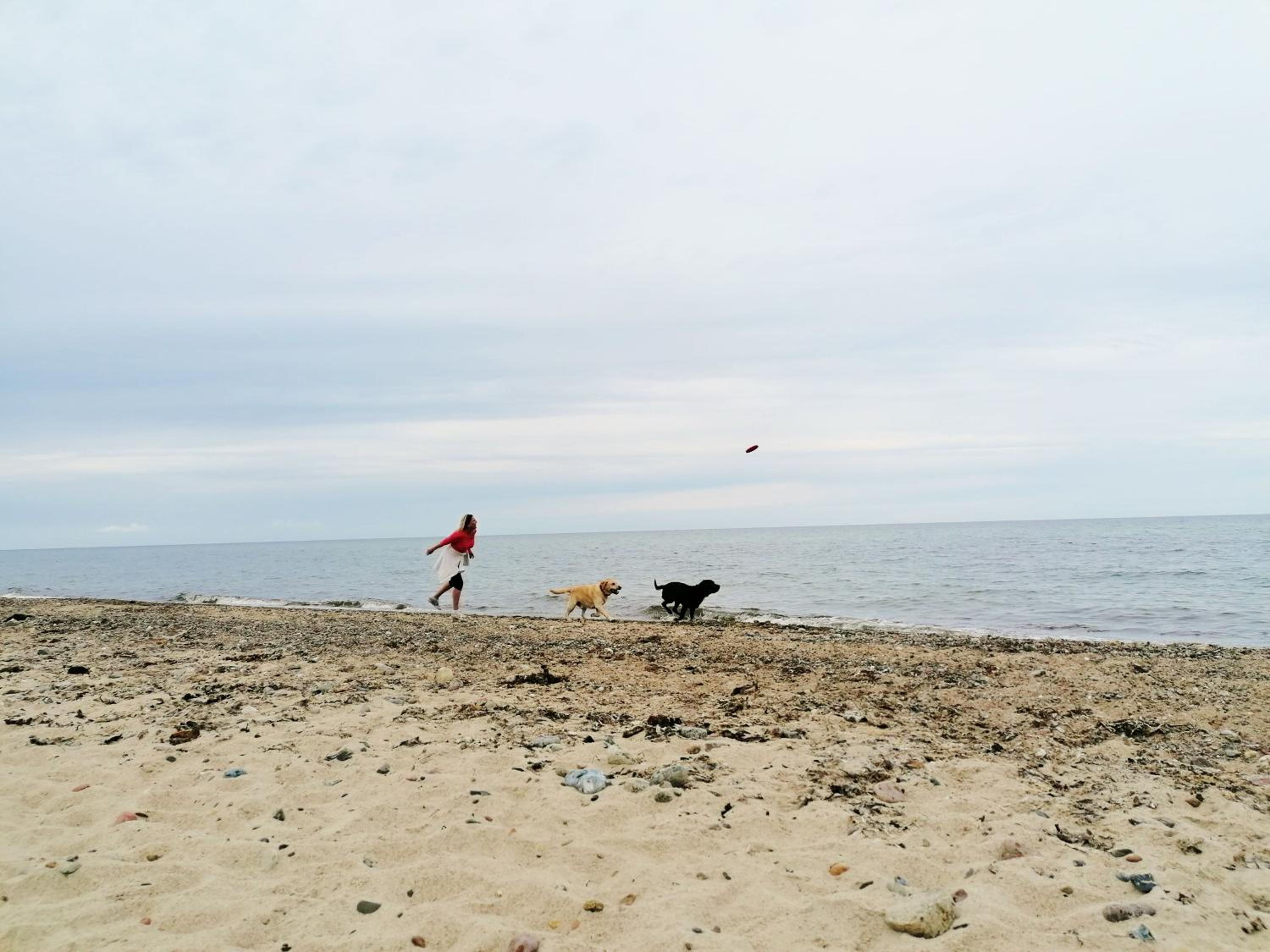 Hof am Meer
