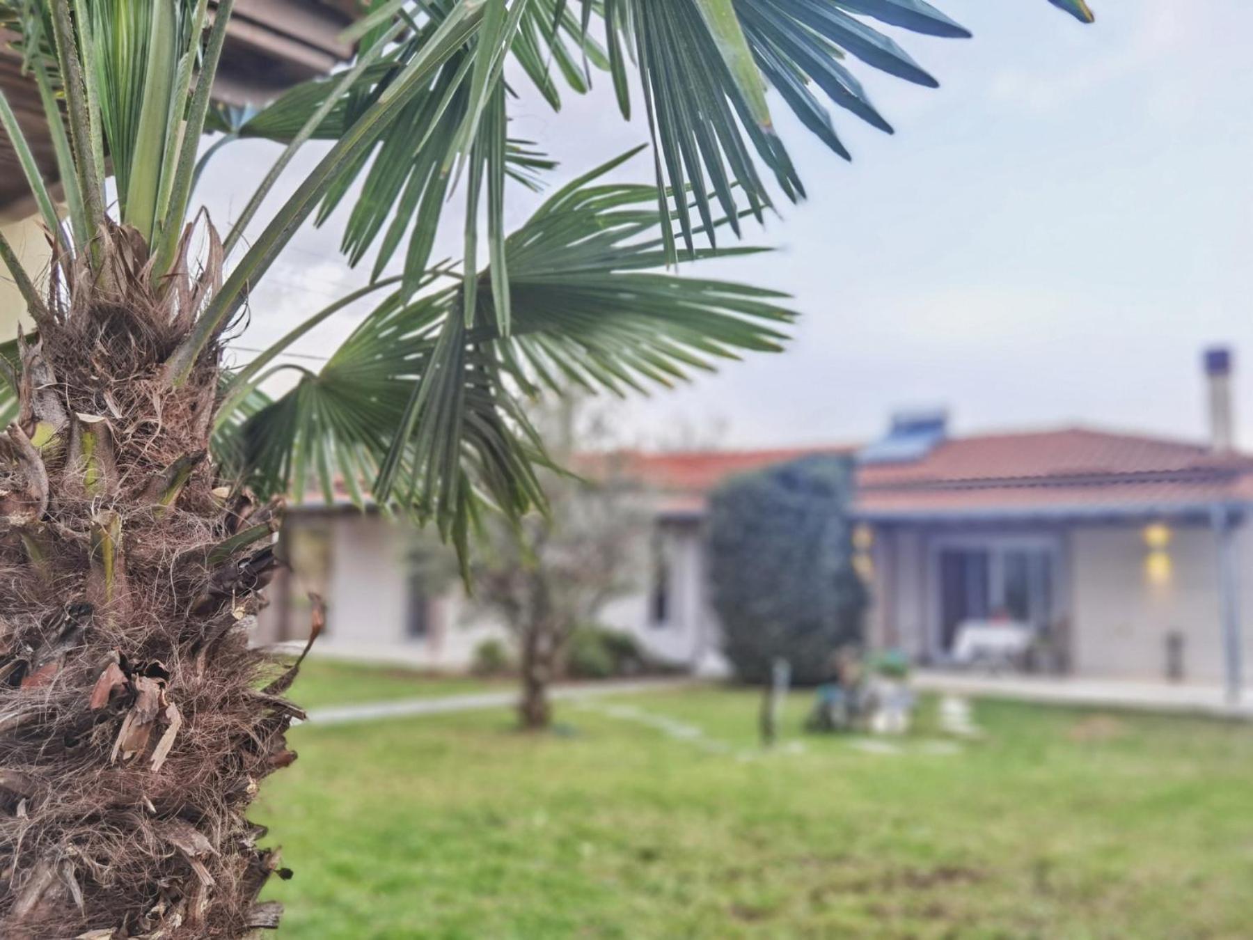 Casa Botanica Country House view 4