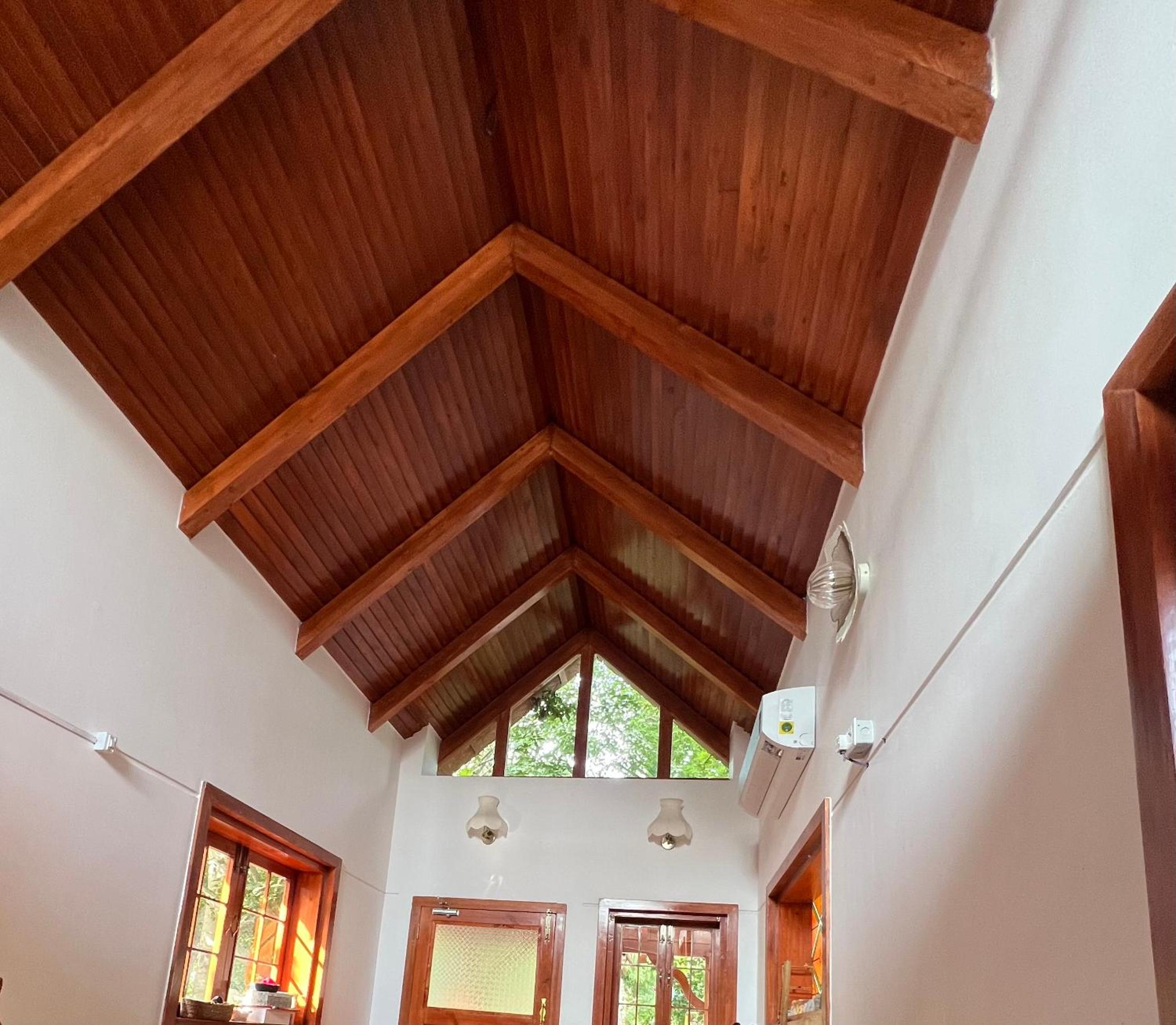 Little Things Earth - Pine villa view 2