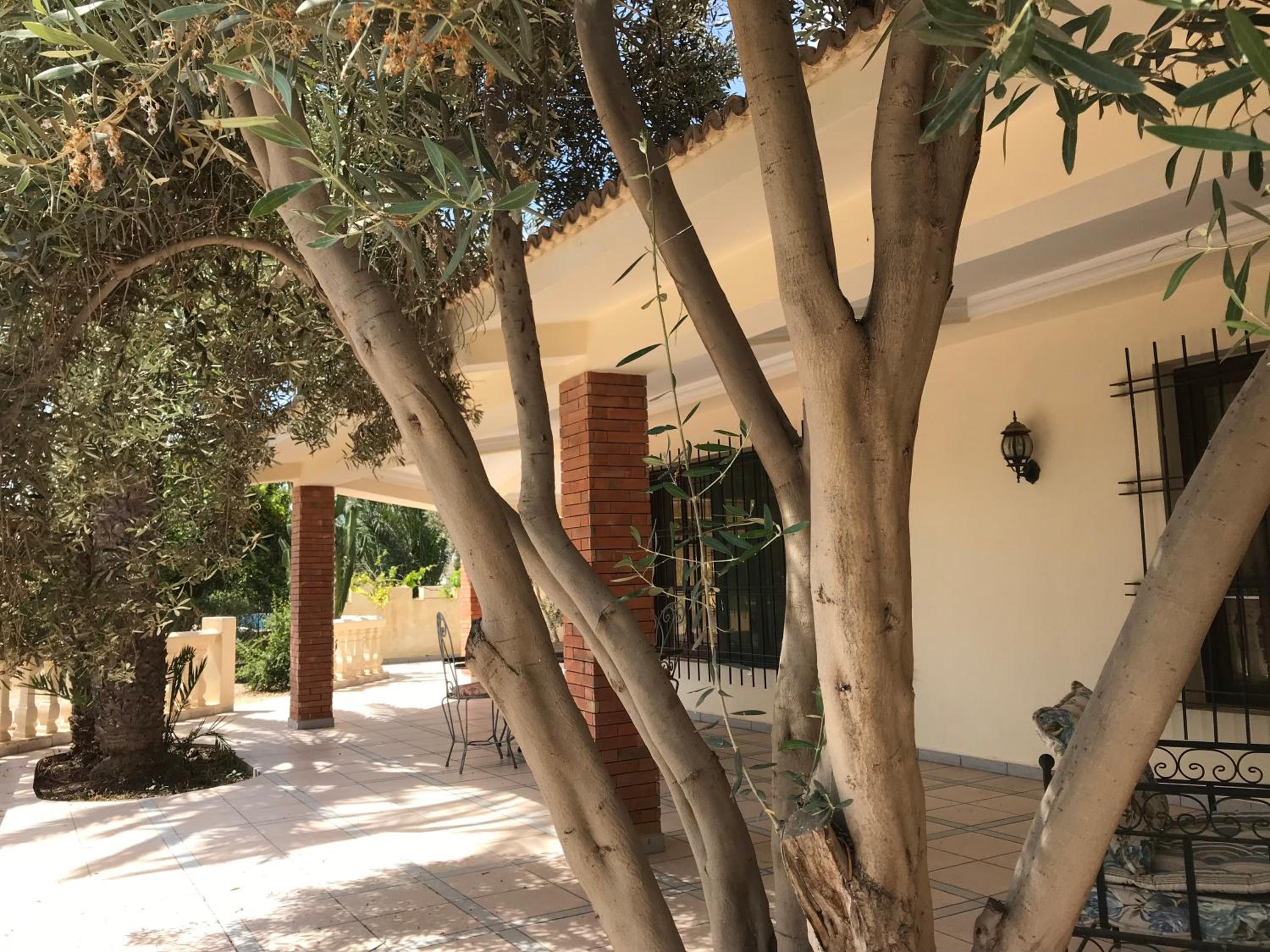 Tiguimi Vacances - Oasis Villas, cadre naturel et vue montagne