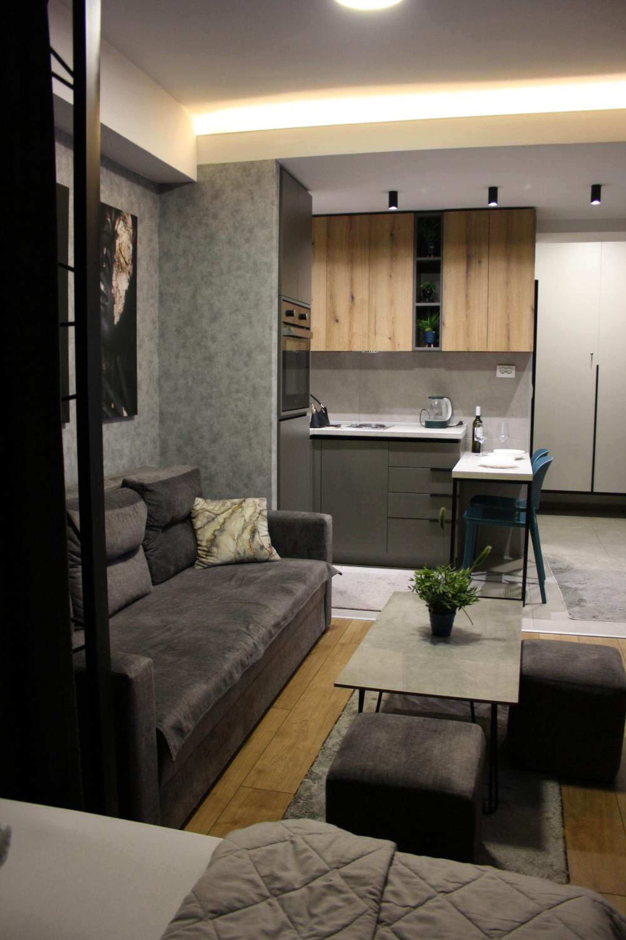 Luxury Apartment Skopje view 5
