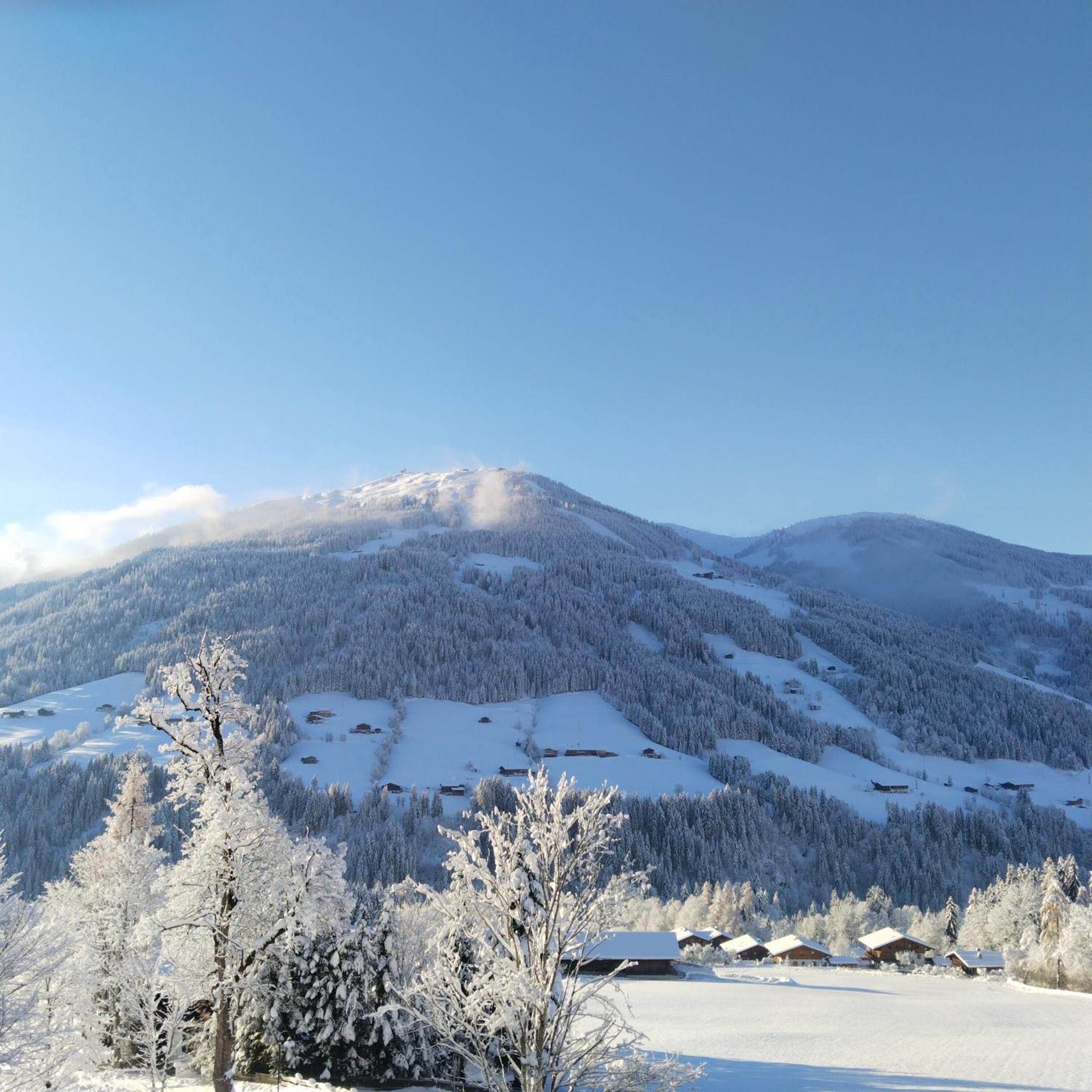 Alpbachblick