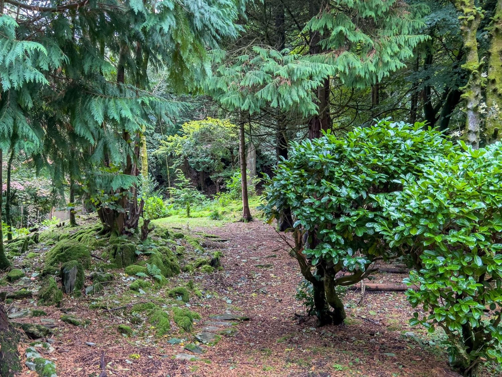 Daweswood, Patterdale, characterful with fairy tale garden and fell walks from the door