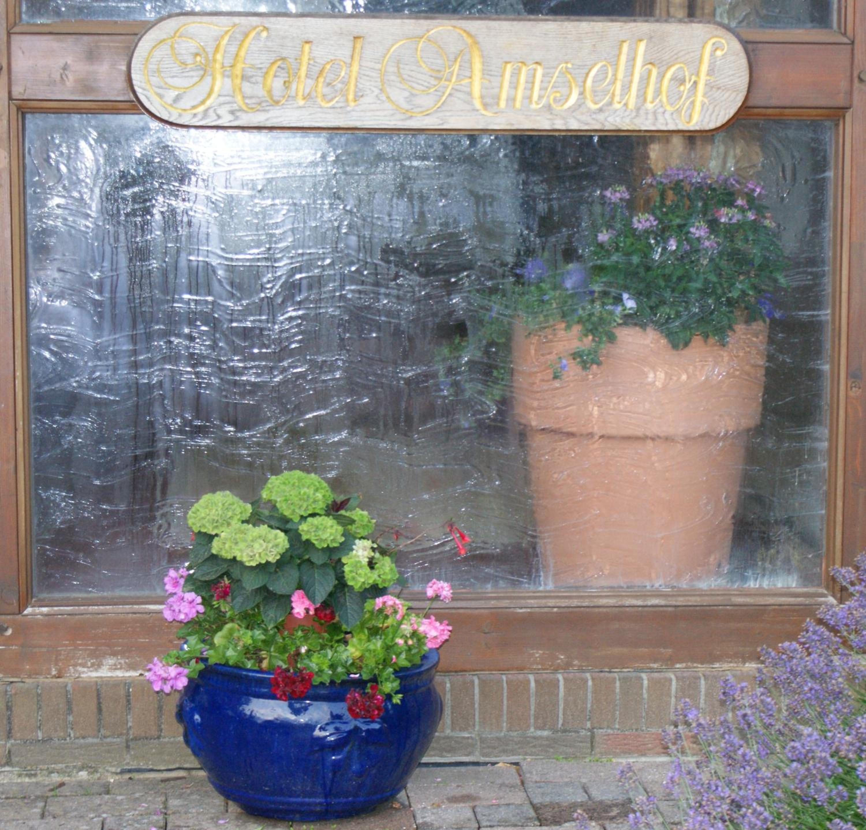 Hotel Amselhof