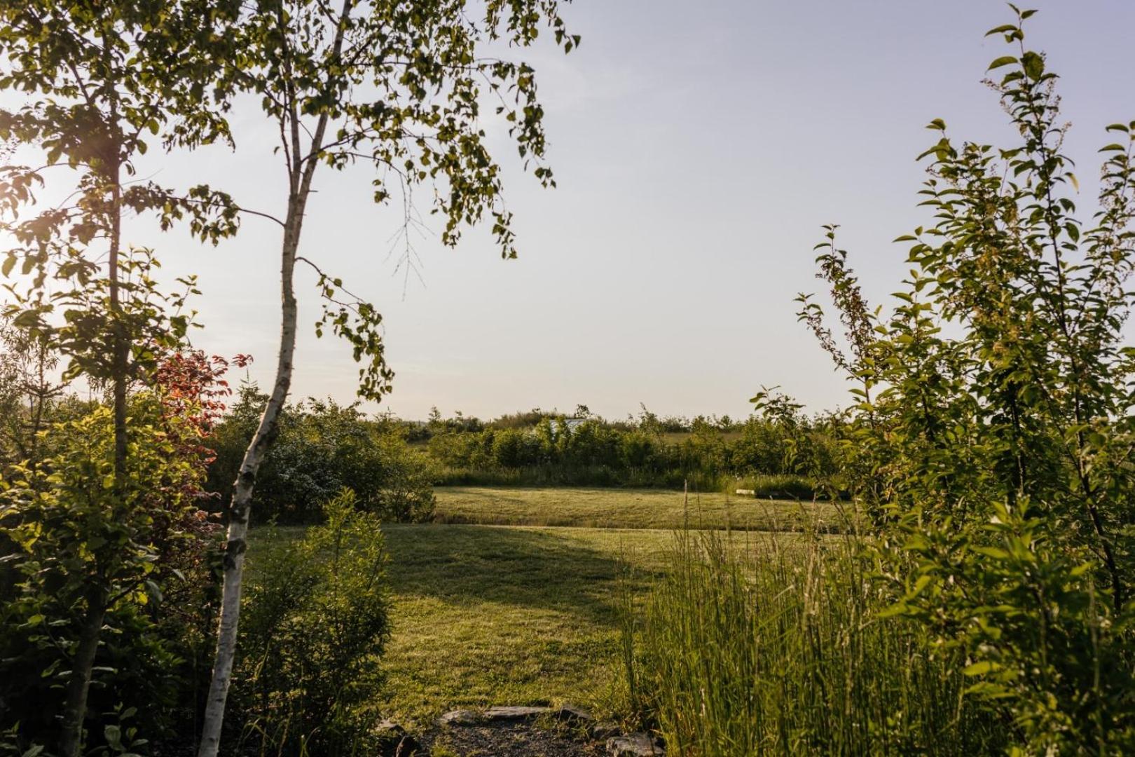 Ecolodge 1