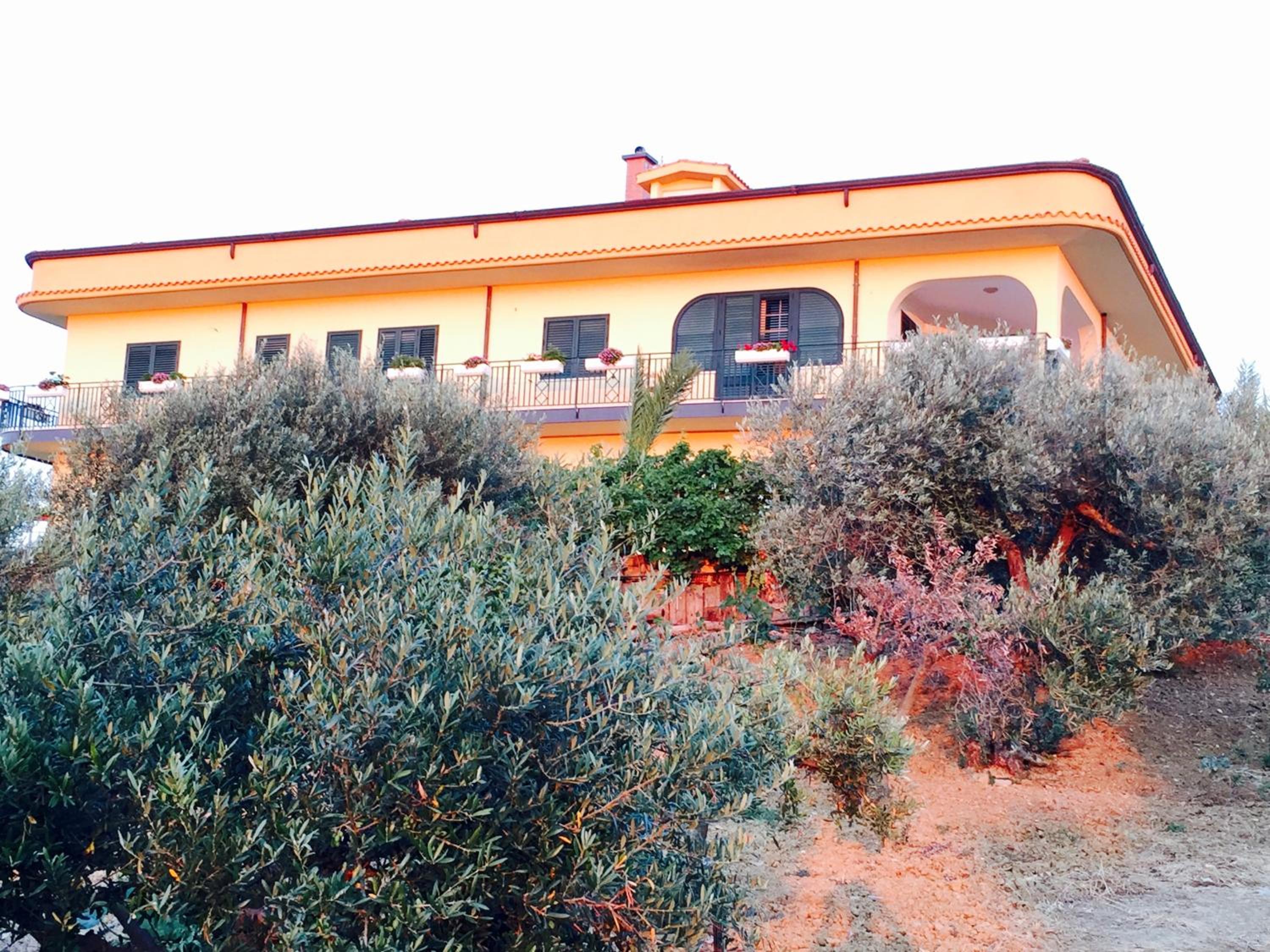 Photo 20