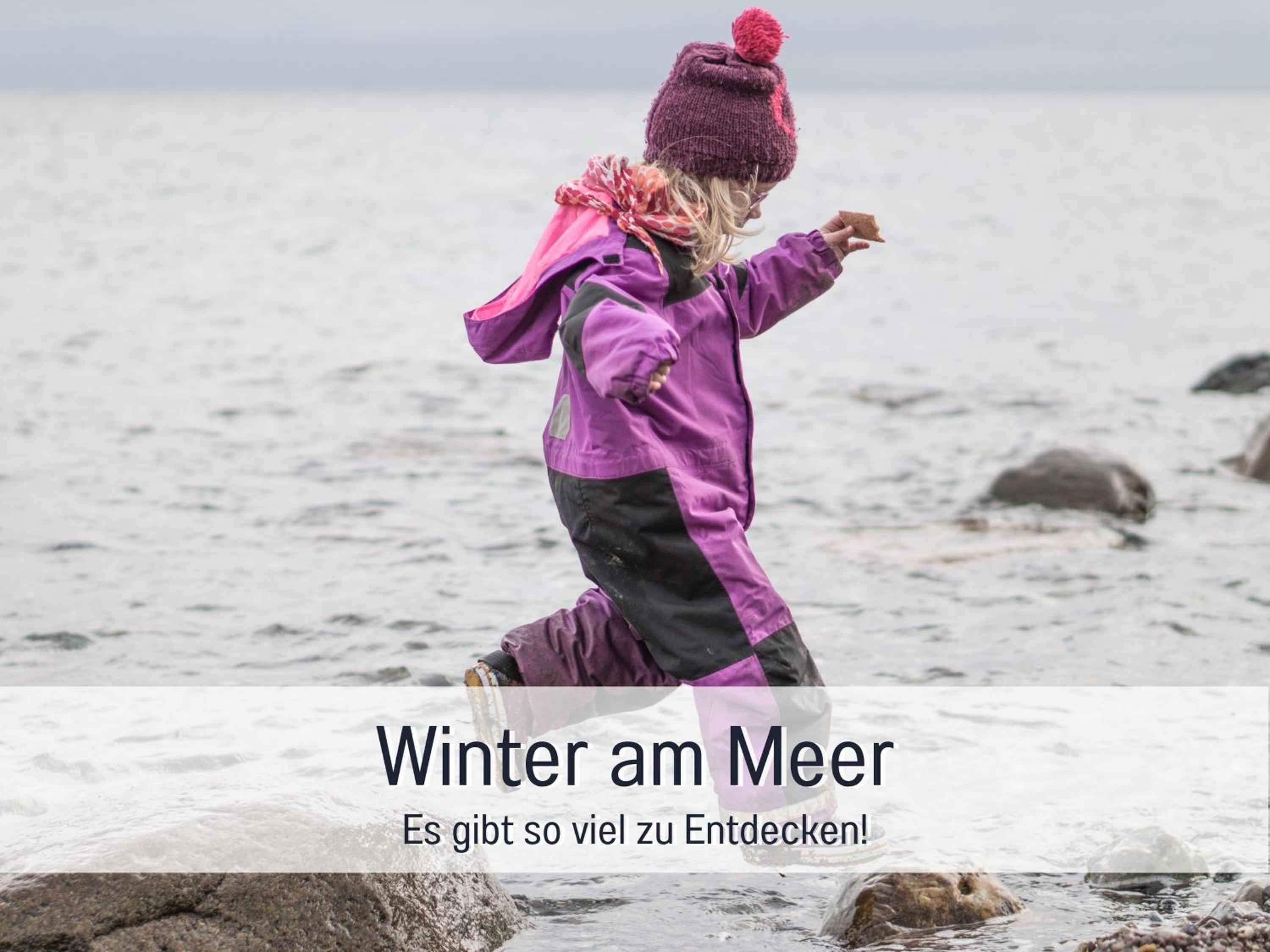 Bio Ferienhof Wichtelweide - Fewo Minze