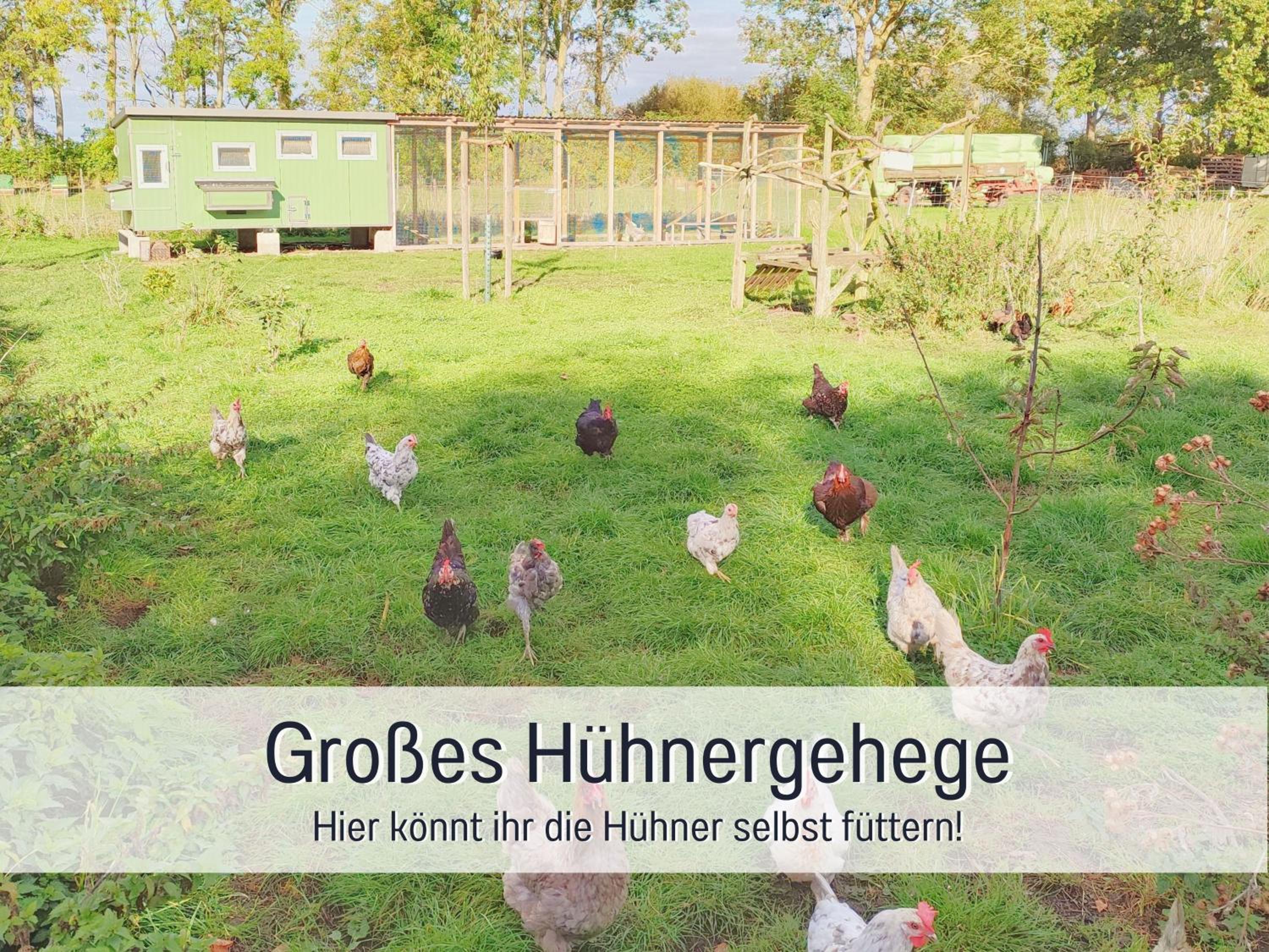 Bio Ferienhof Wichtelweide - Fewo Minze