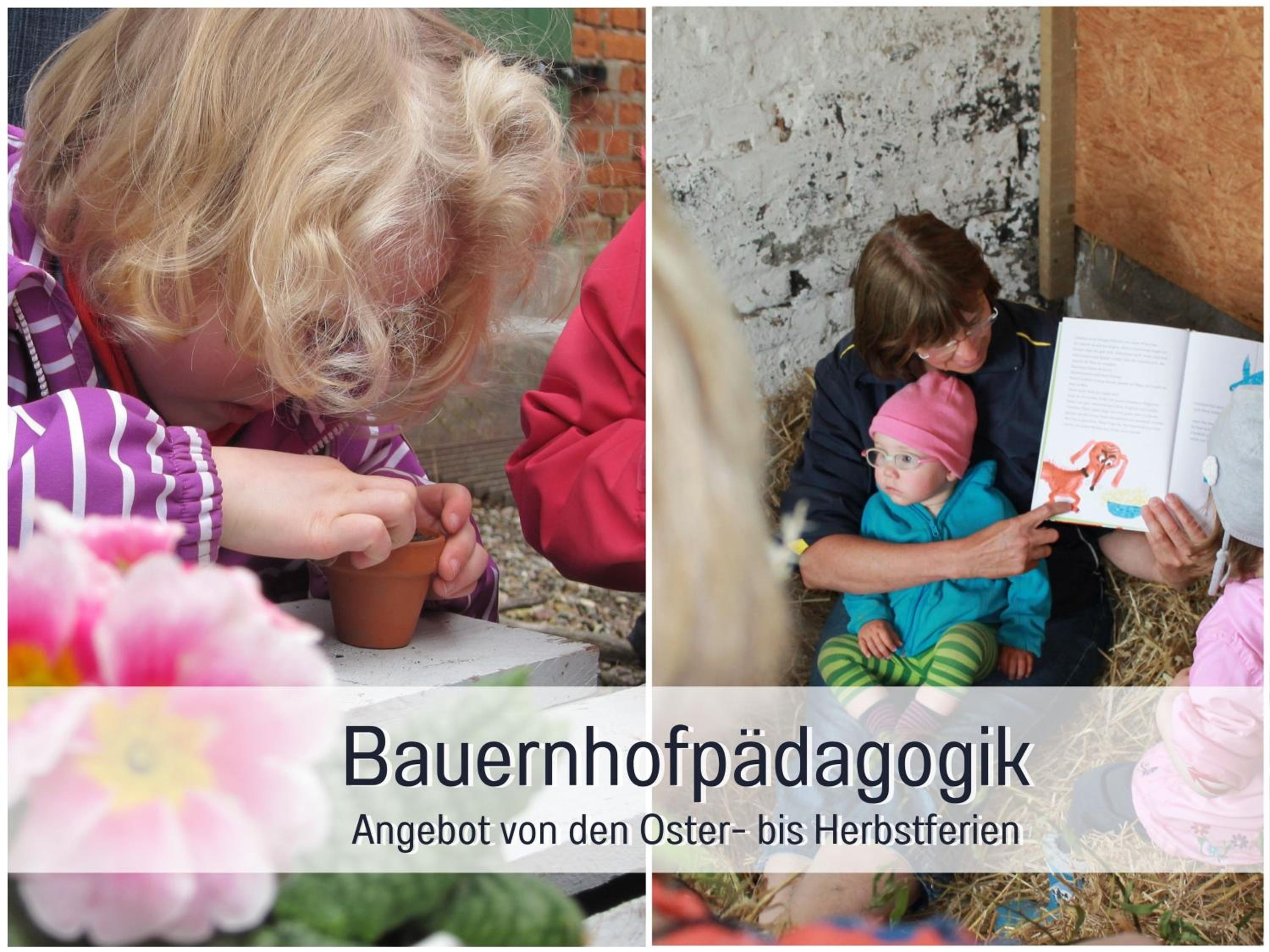 Bio Ferienhof Wichtelweide - Fewo Minze