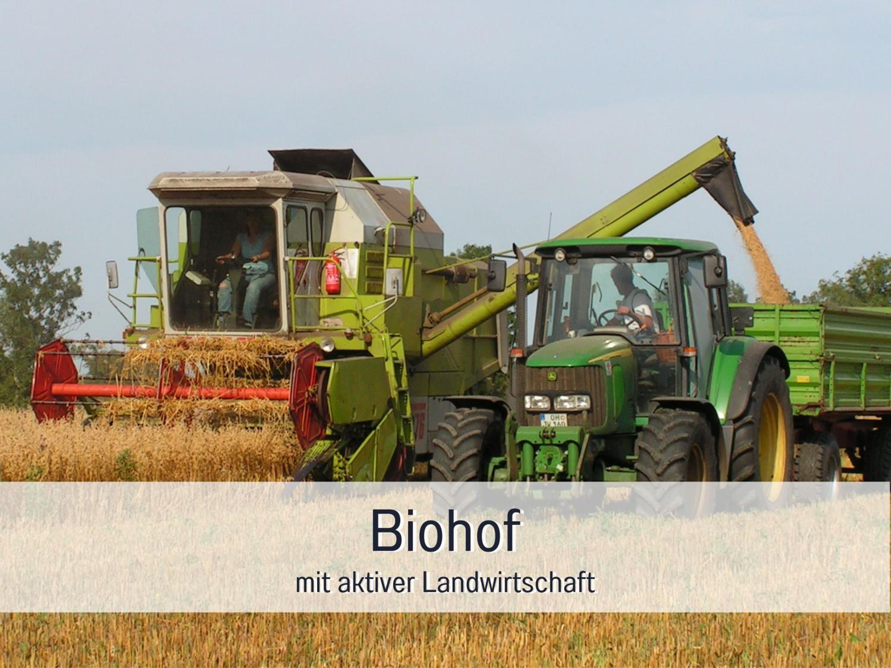 Bio Ferienhof Wichtelweide - Ferienhaus Lichtblick