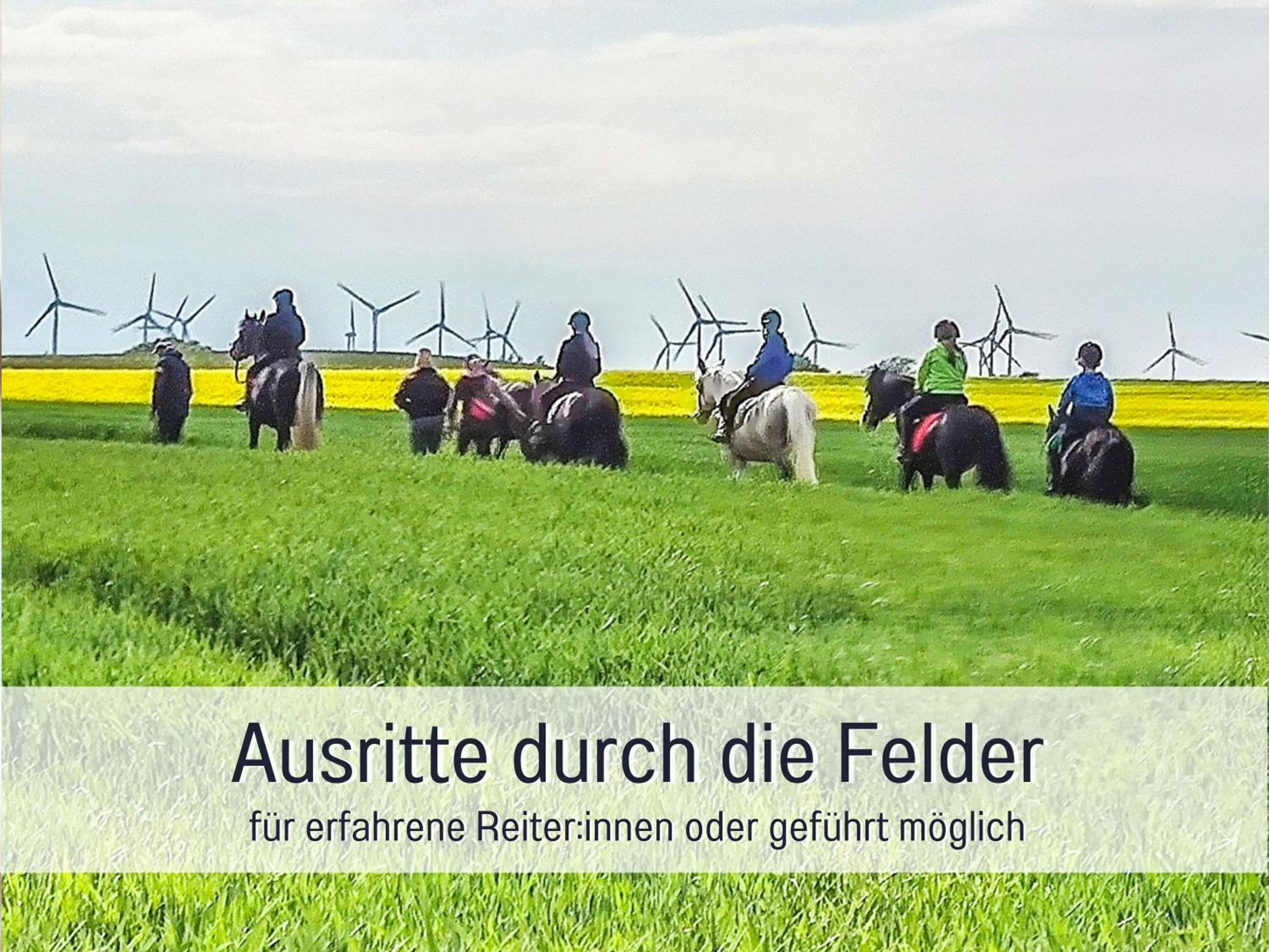 Bio Ferienhof Wichtelweide - Fewo Lavendel