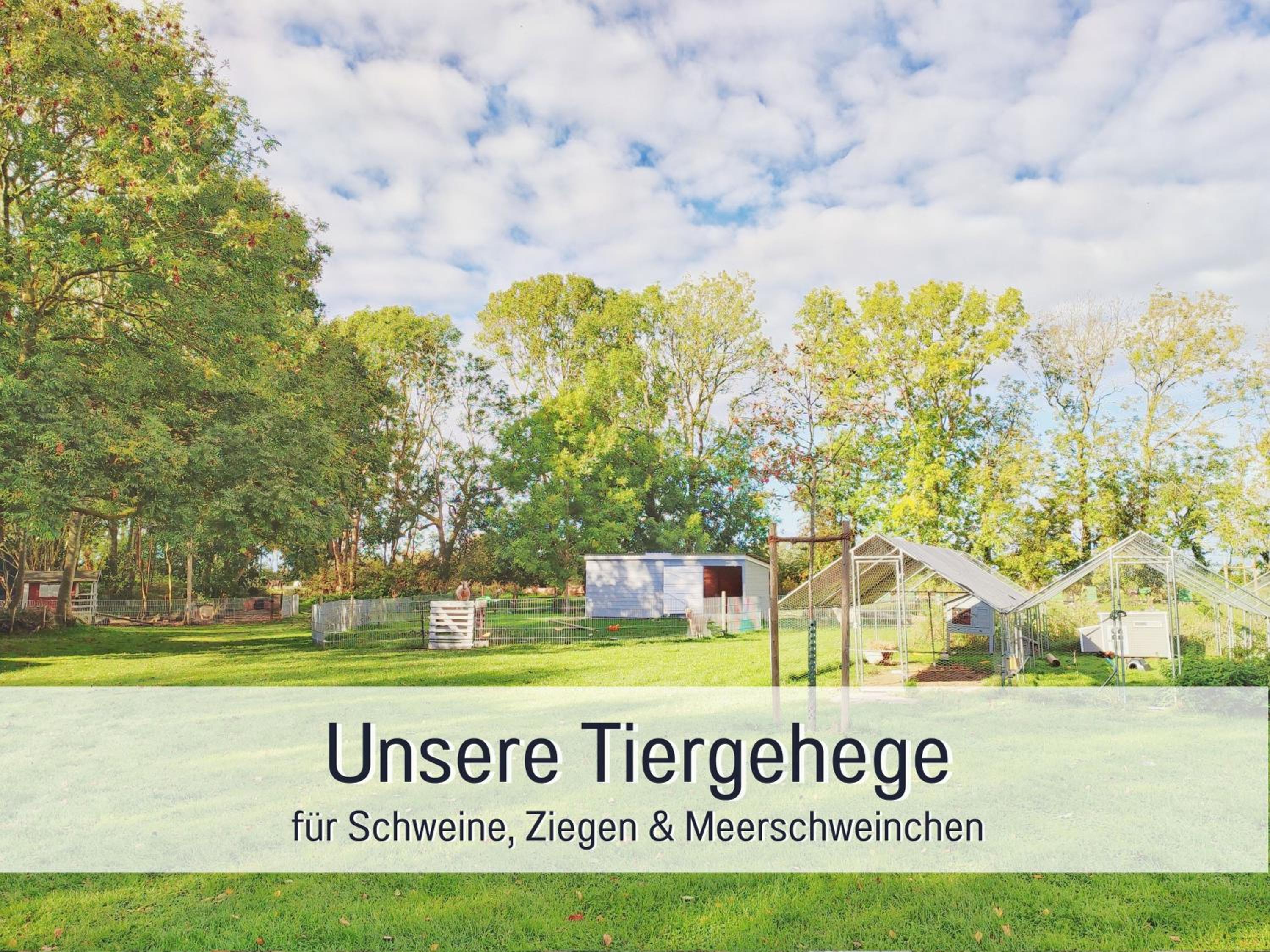 Bio Ferienhof Wichtelweide - Fewo Thymian