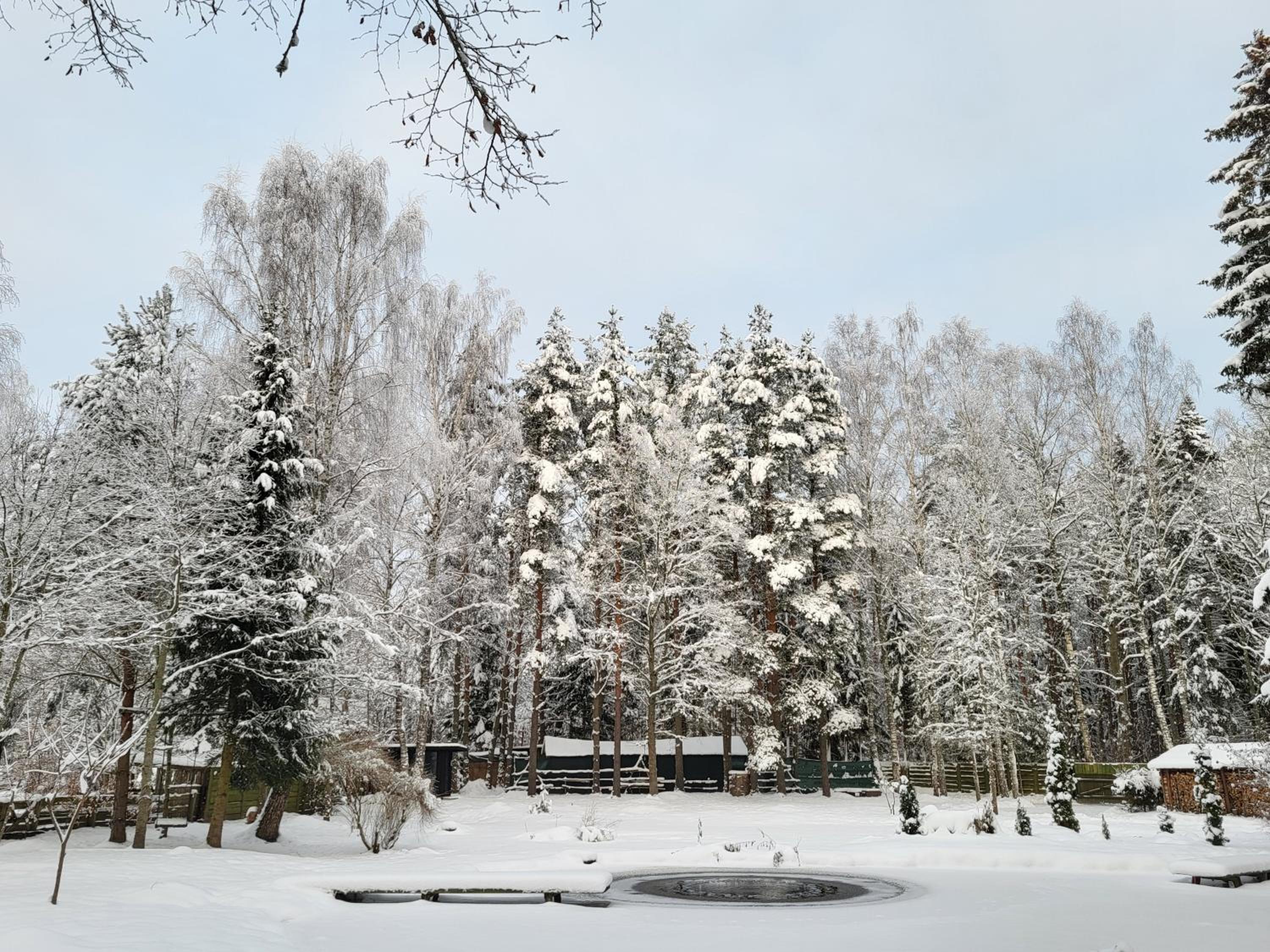 Photo 45