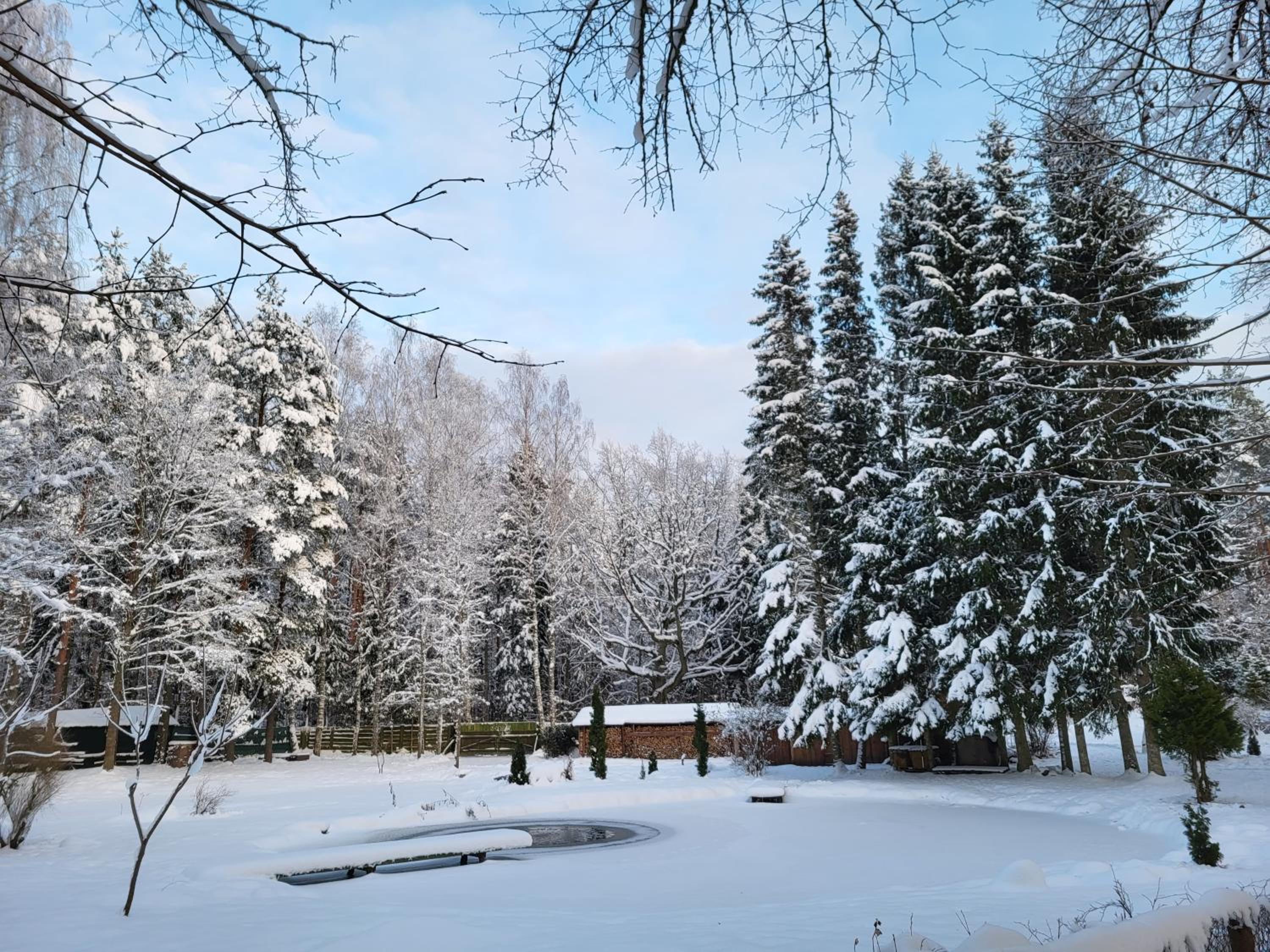 Photo 42