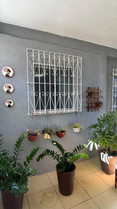 Casa na ilha para 12 pessoas confortavelmente