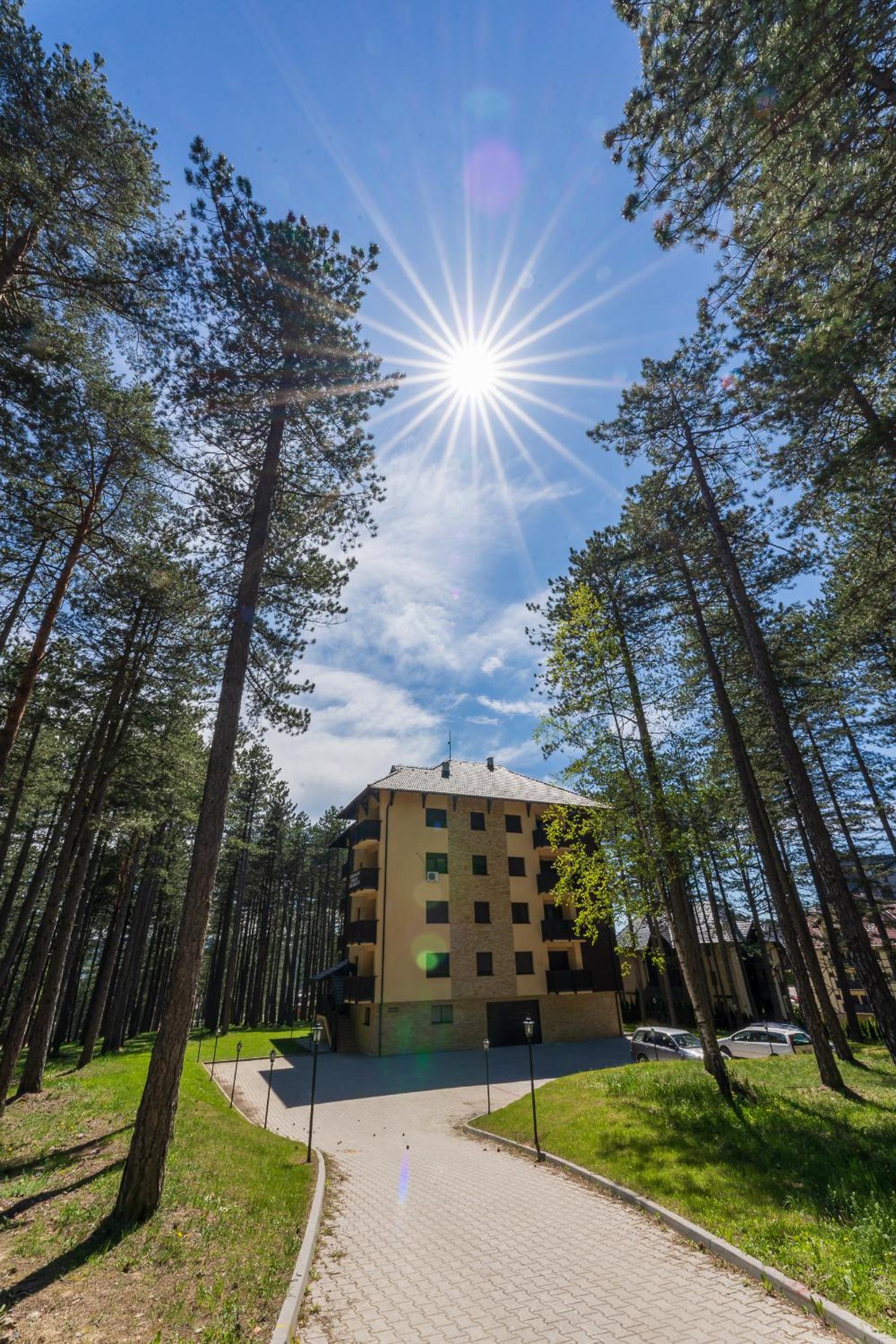 Apartman Art2