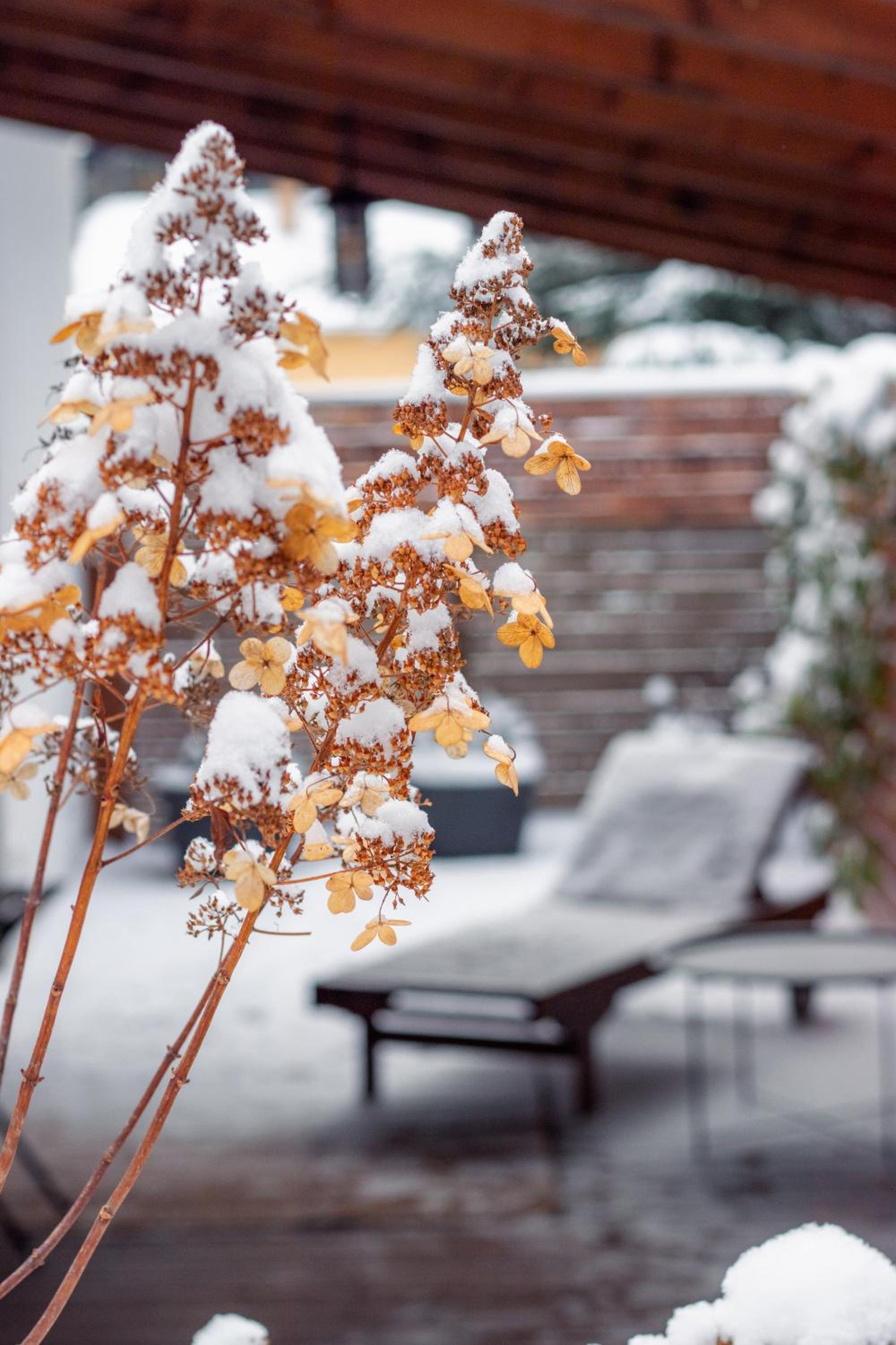 Pod Vojtěchem - soukromý wellness apartmán