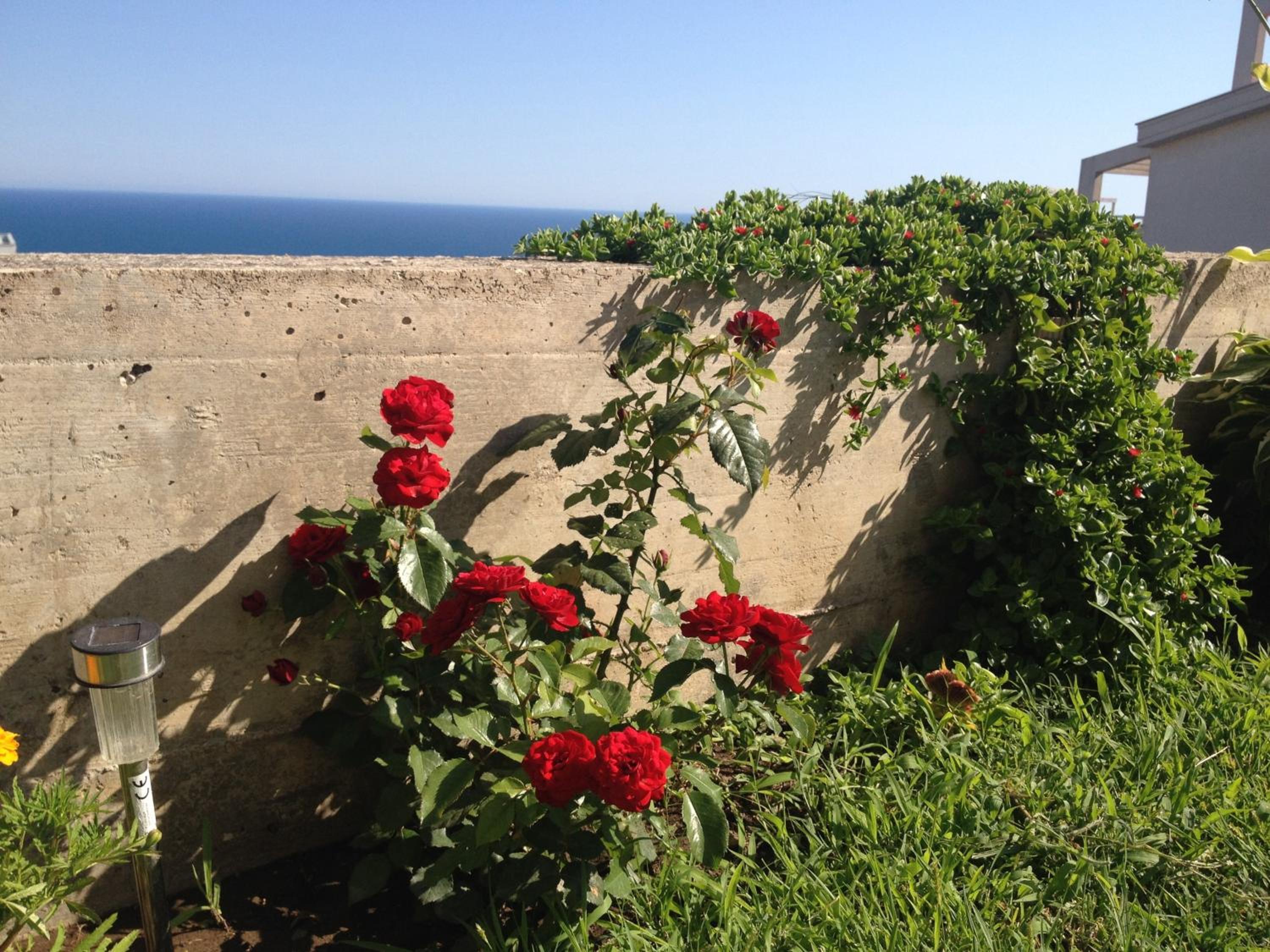 Photo 47