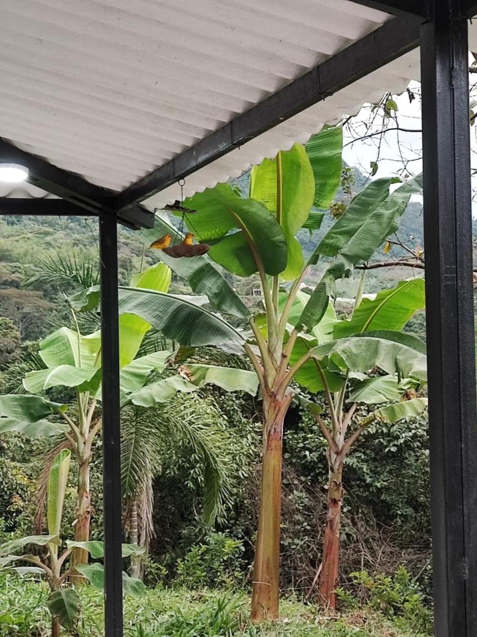 CASA CAMPESTRE LAS MARIAS