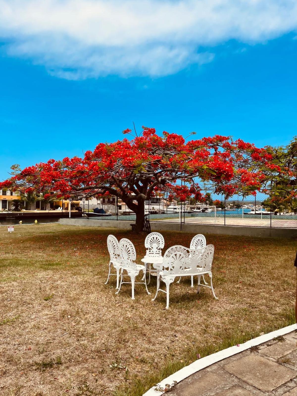 Apartamento Resort Cabo Frio - Rua dos Biquinis