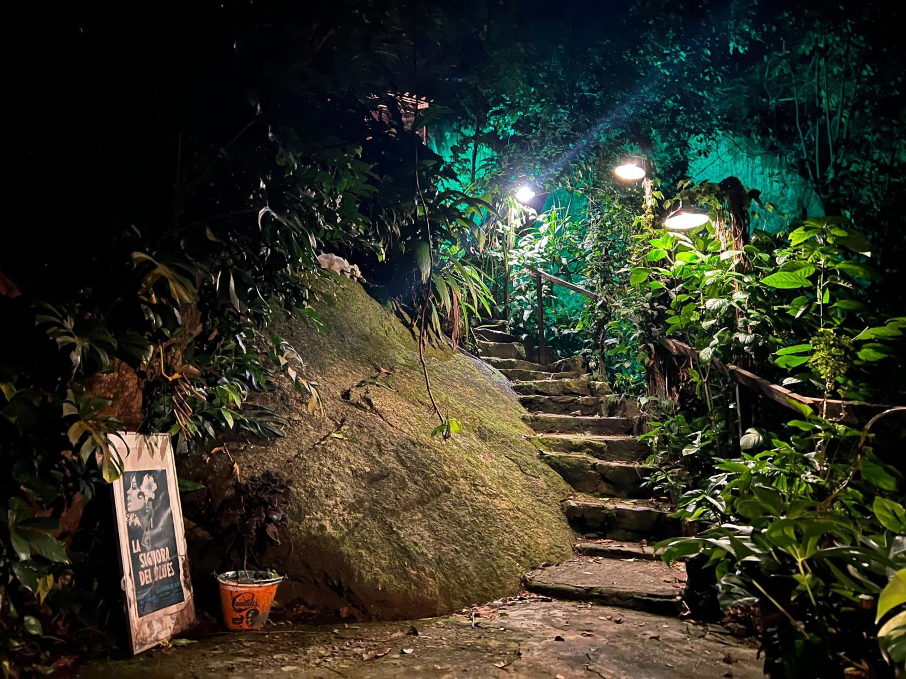 Amazing forest House in the city! Private guest suite - double studio room