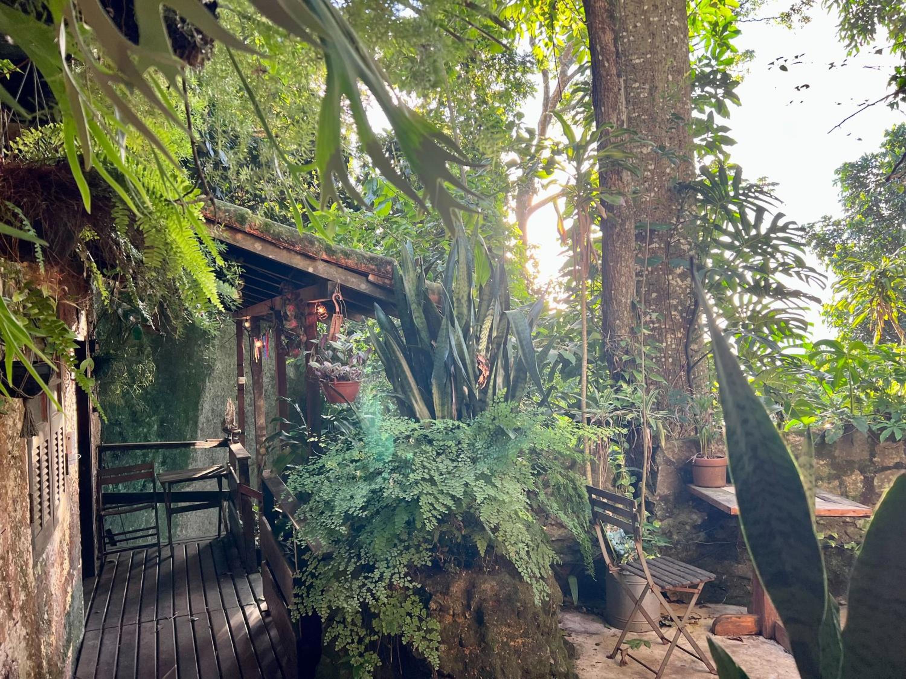 Amazing forest House in the city! Private guest suite - double studio room
