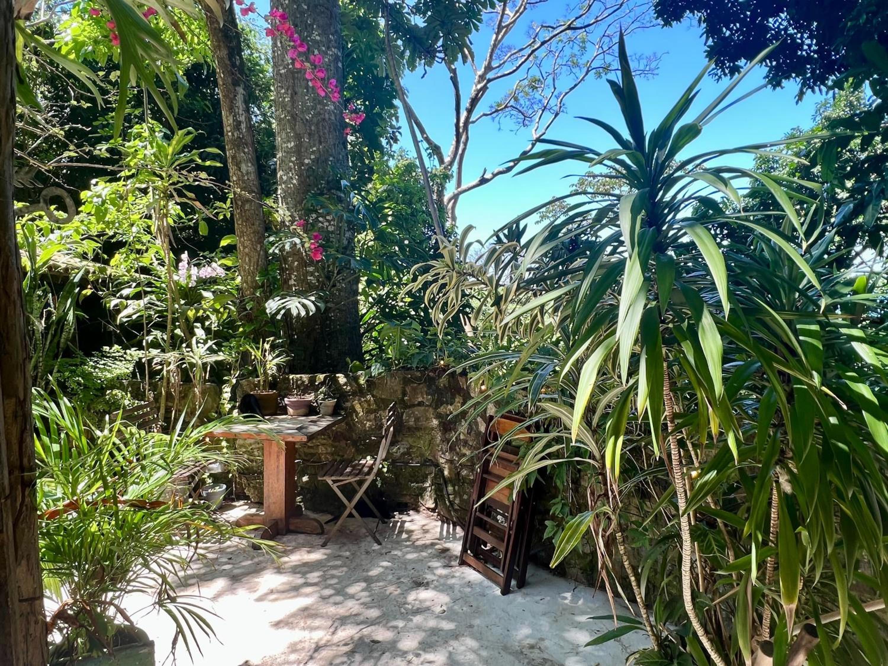 Amazing forest House in the city! Private guest suite - double studio room