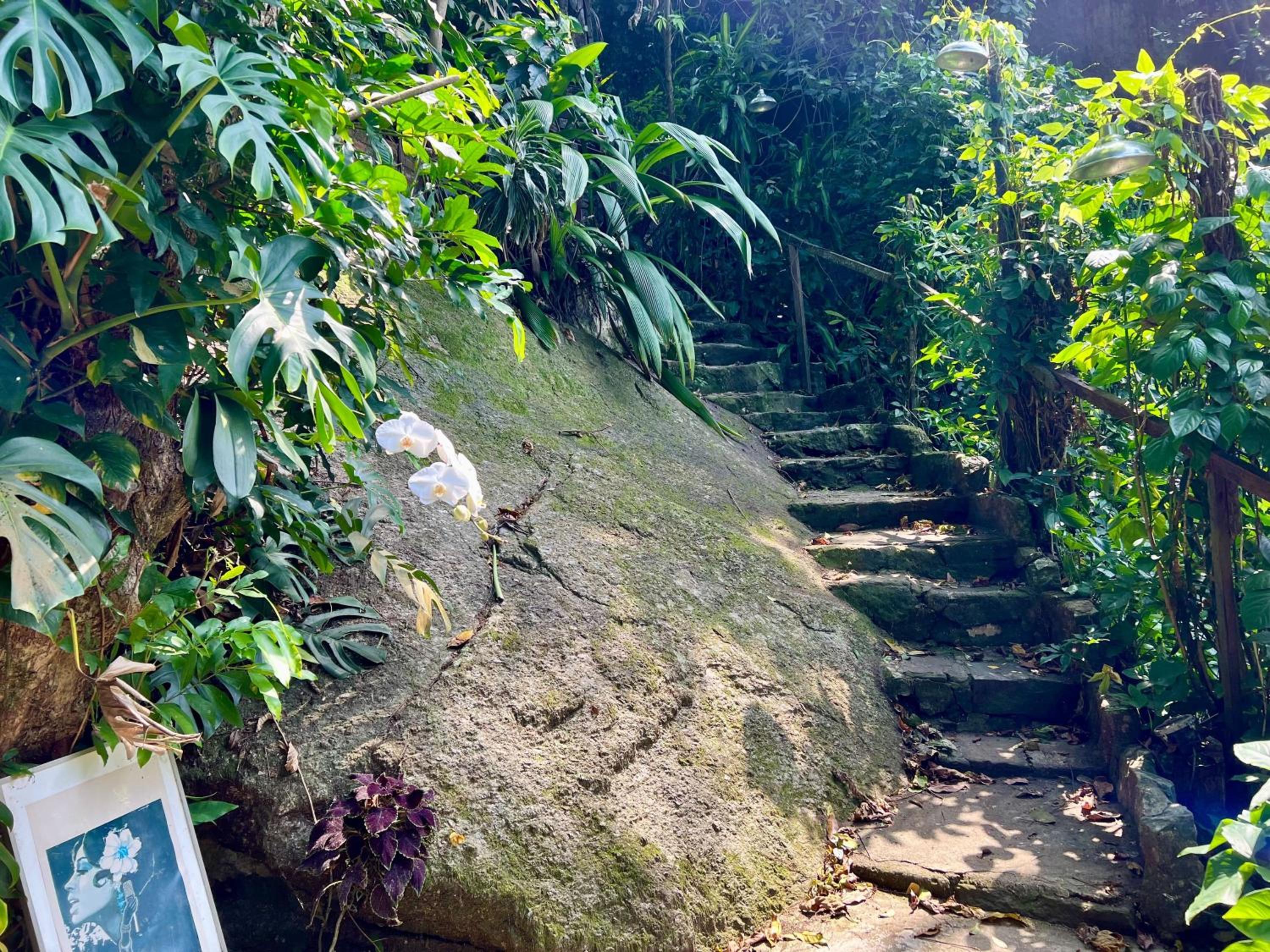 Amazing forest House in the city! Private guest suite - double studio room