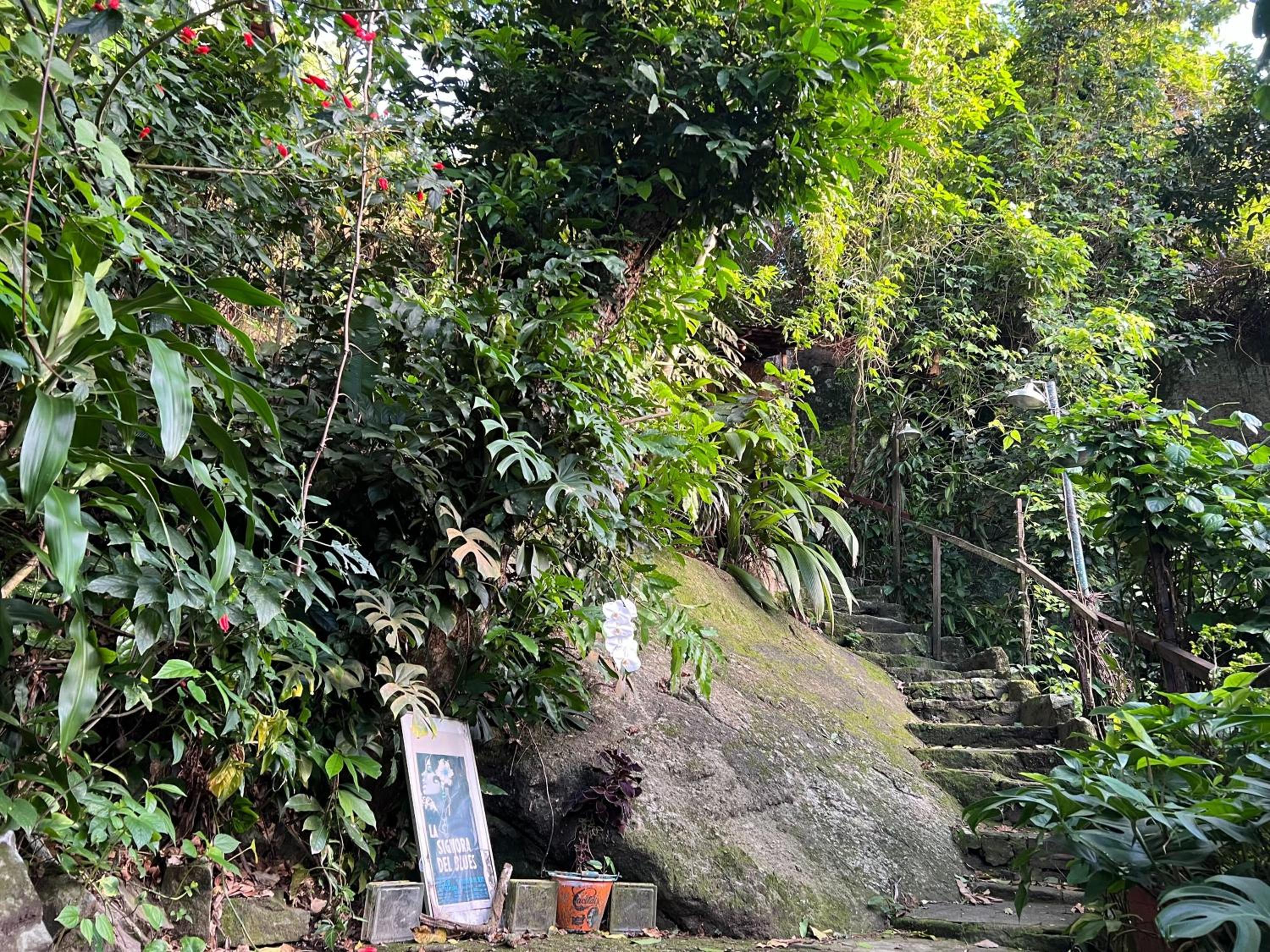 Amazing forest House in the city! Private guest suite - double studio room