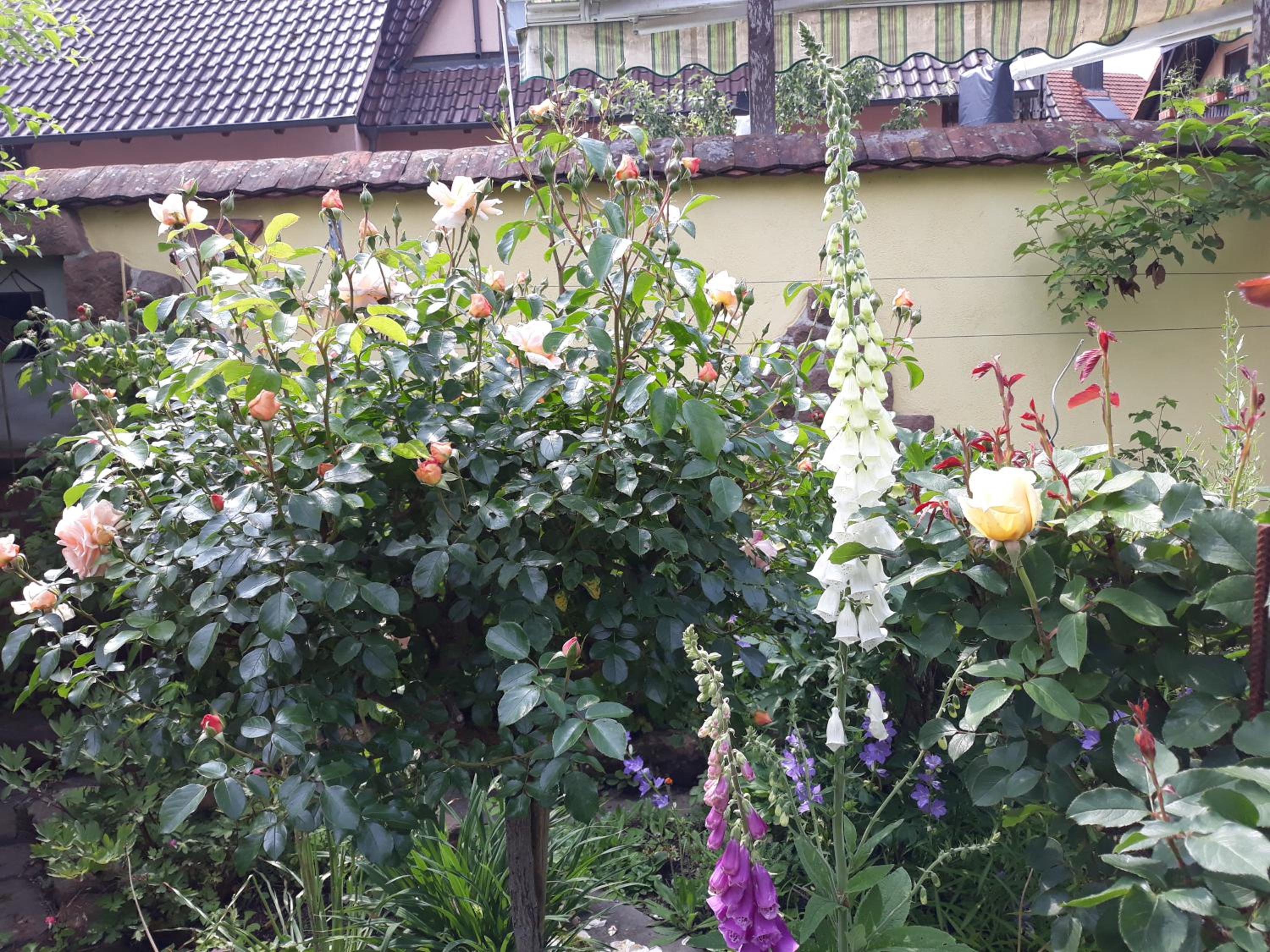 Feriendomizil Sonnenschein