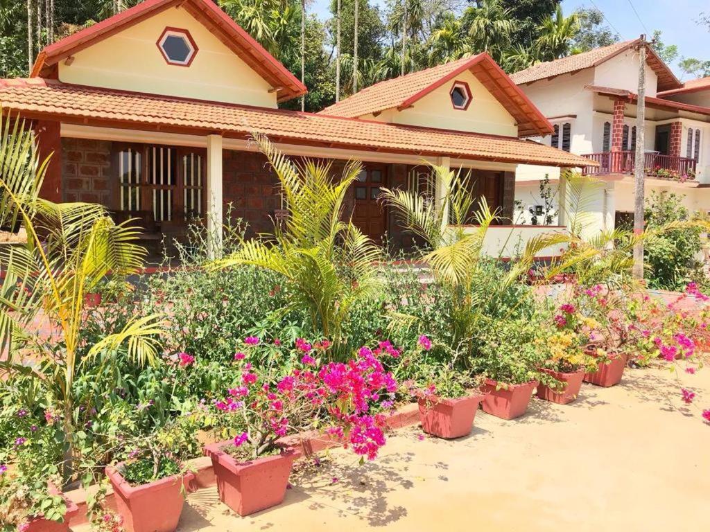 Halli Bailu Homestay