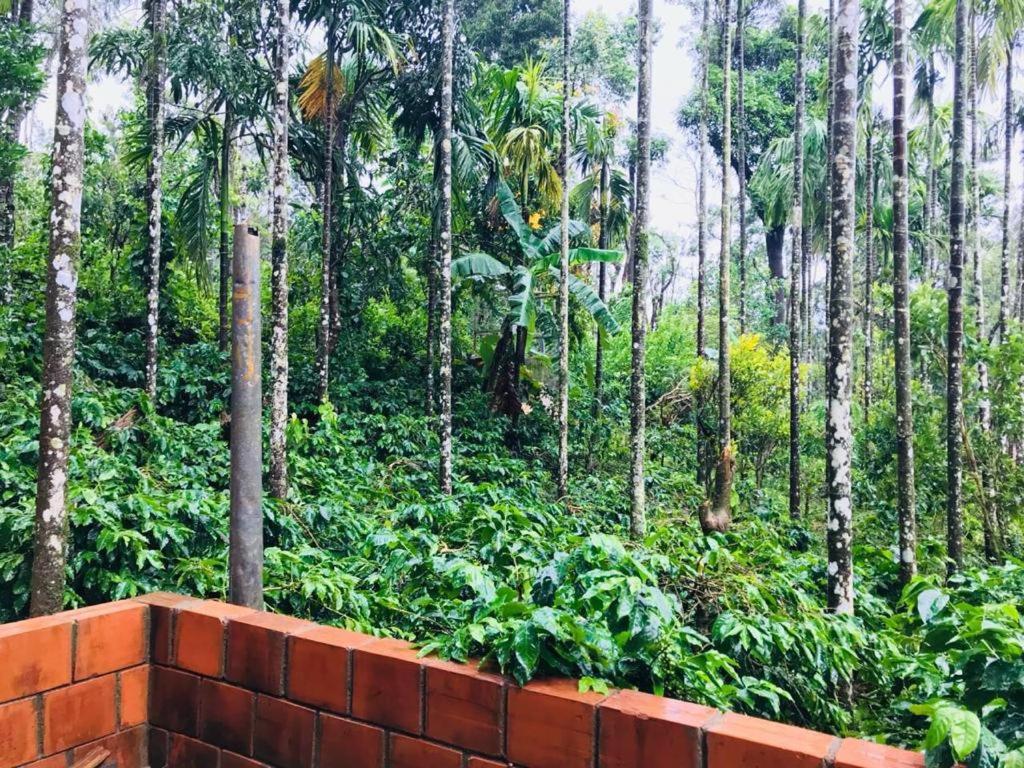 Halli Bailu Homestay