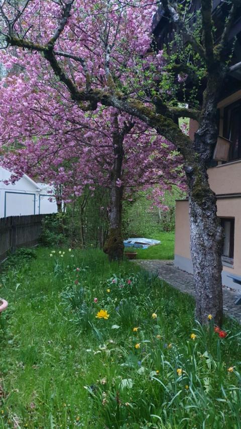 Central Starnberg and surrounded by nature