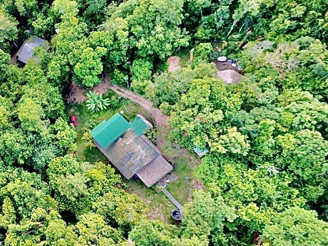 Casa Seringal