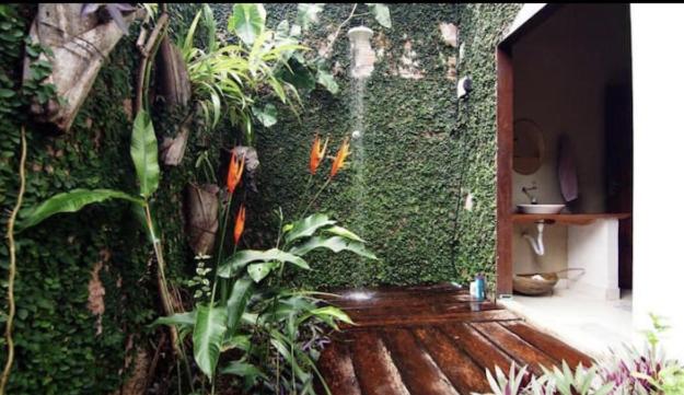 Casa Seringal