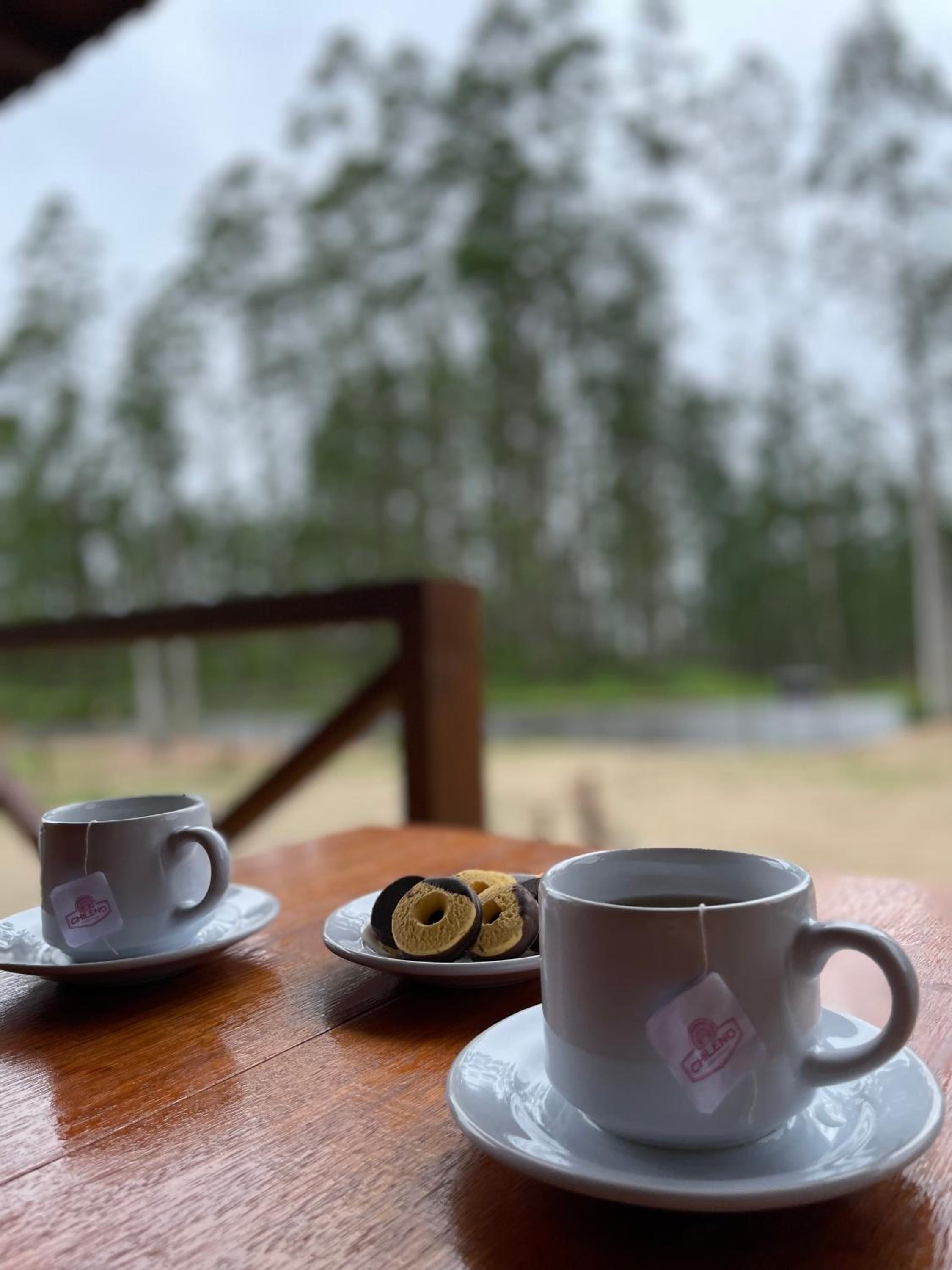 Pousada Doce Aconchego - Grão Pará - Aiurê