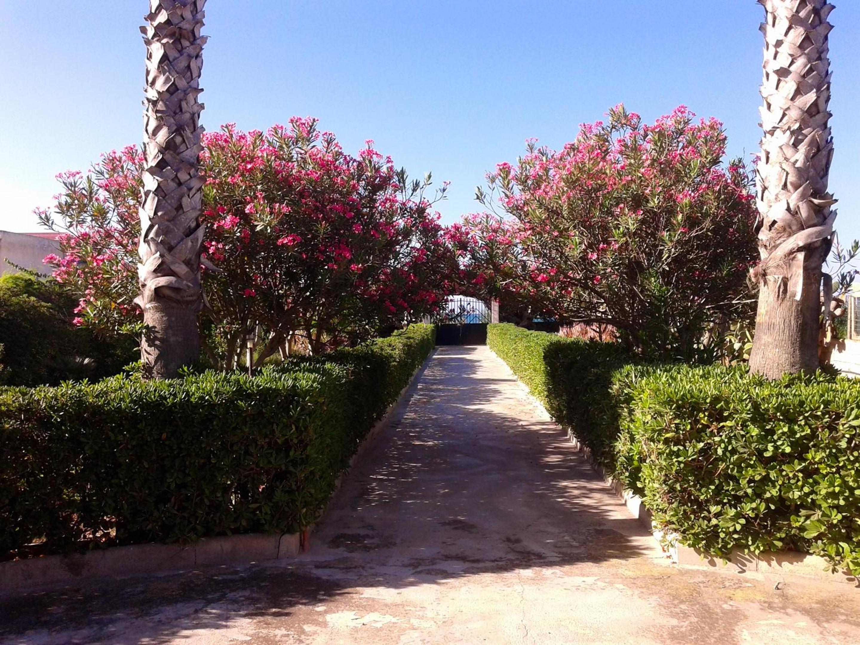 Spacious house with sea view in Pachino capacity 9 pers view 3