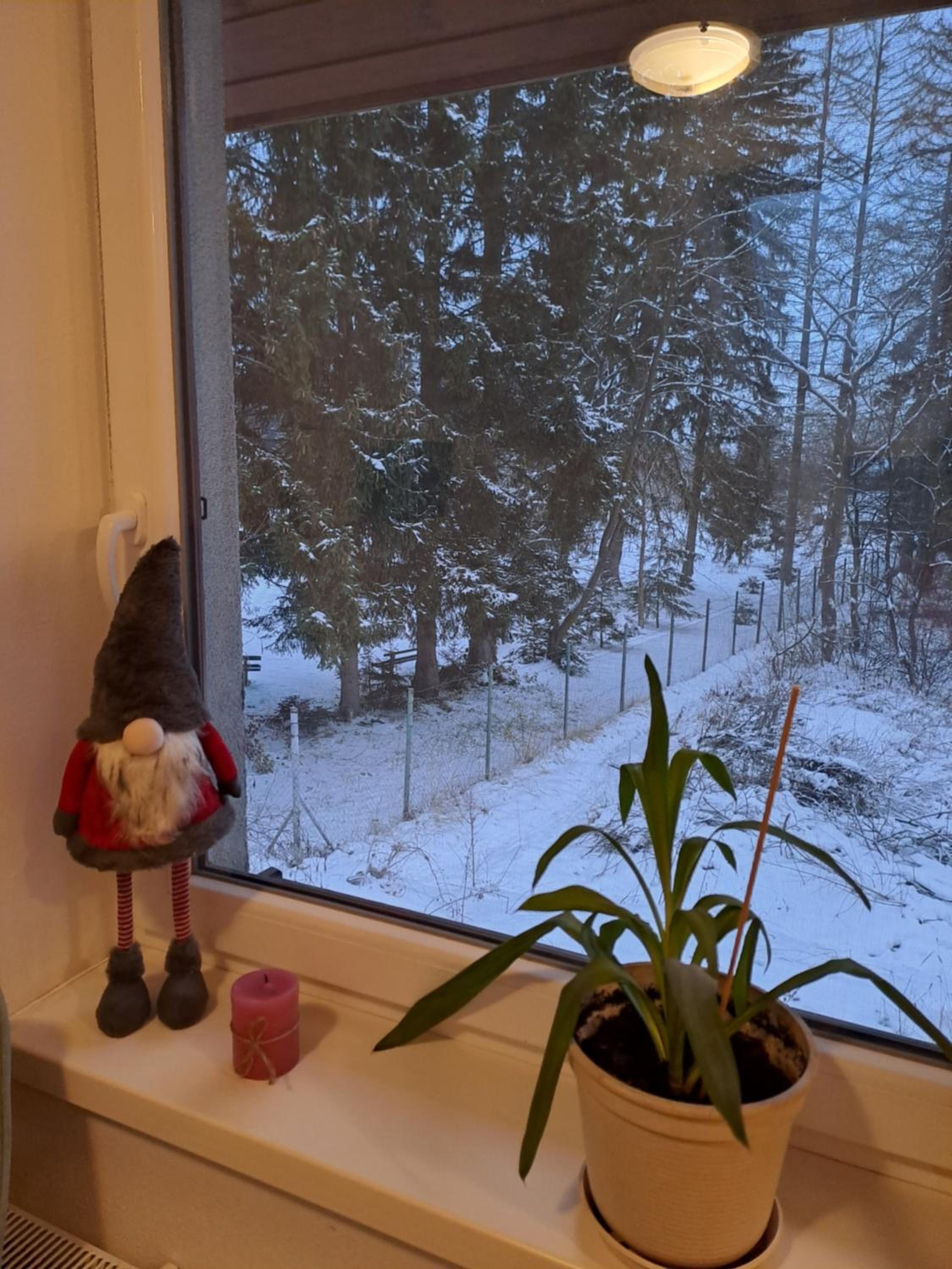 Izba Vladimír Penzión pod Smrekom view 5