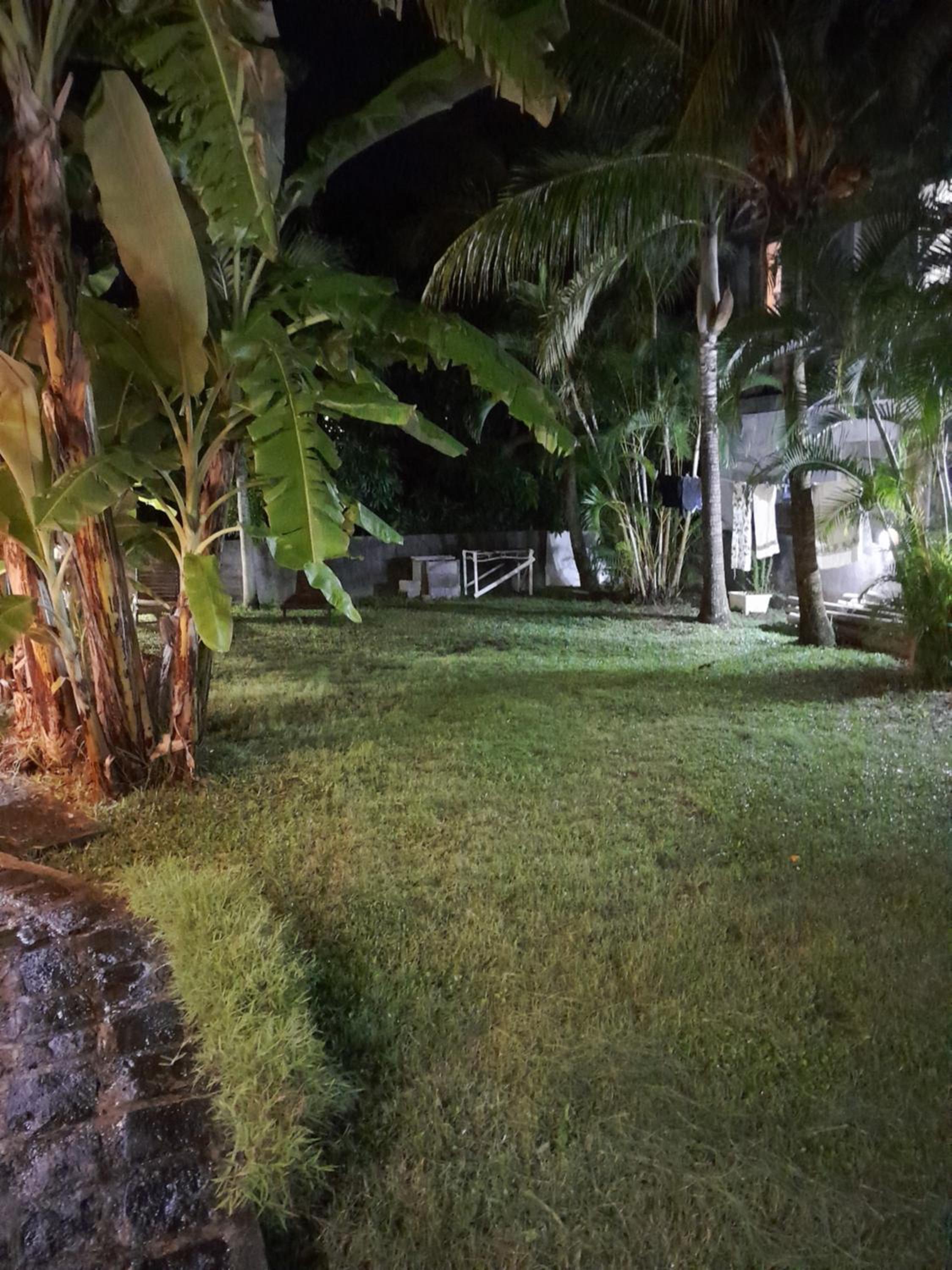 Photo 36