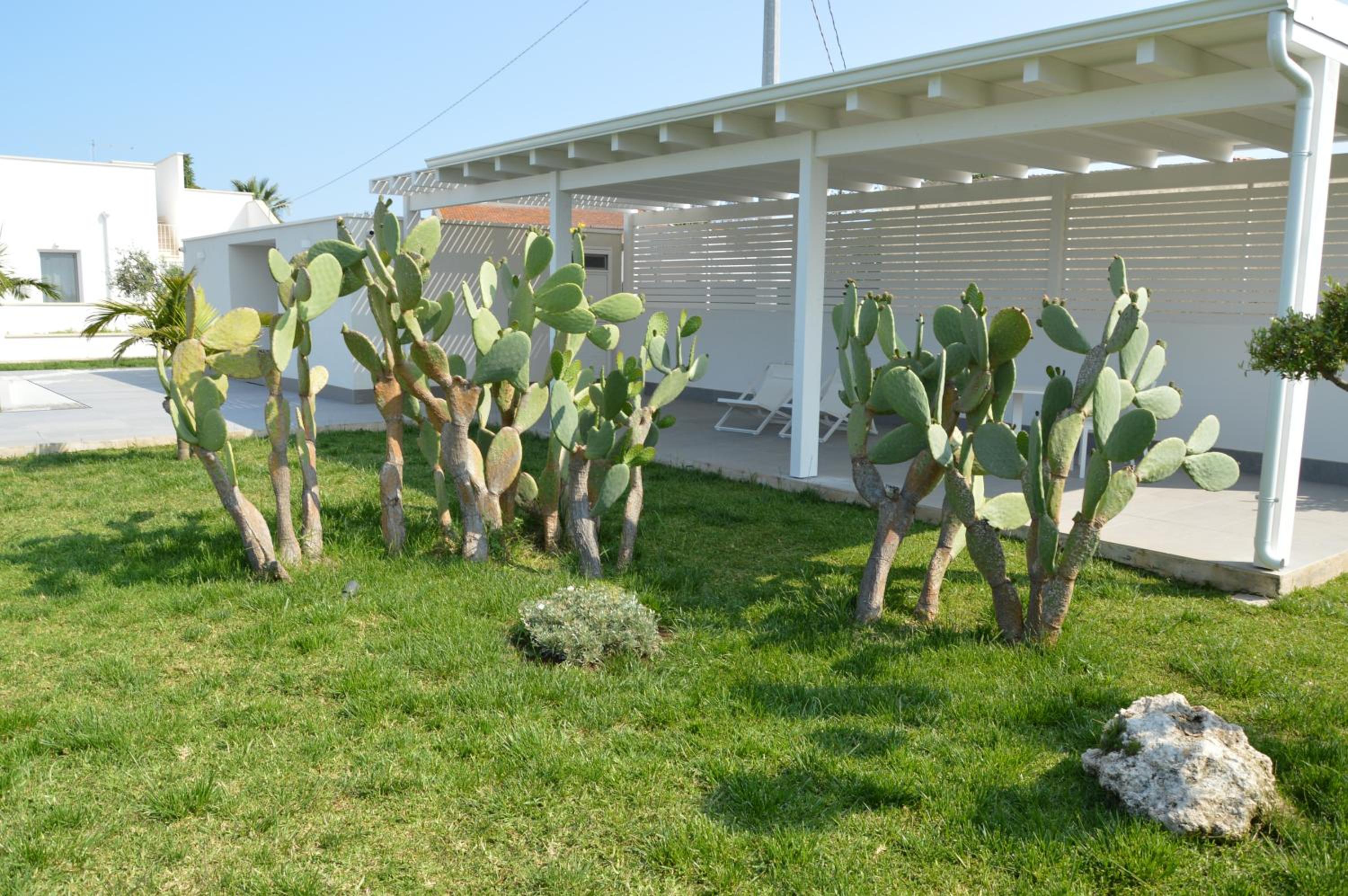 Photo 44