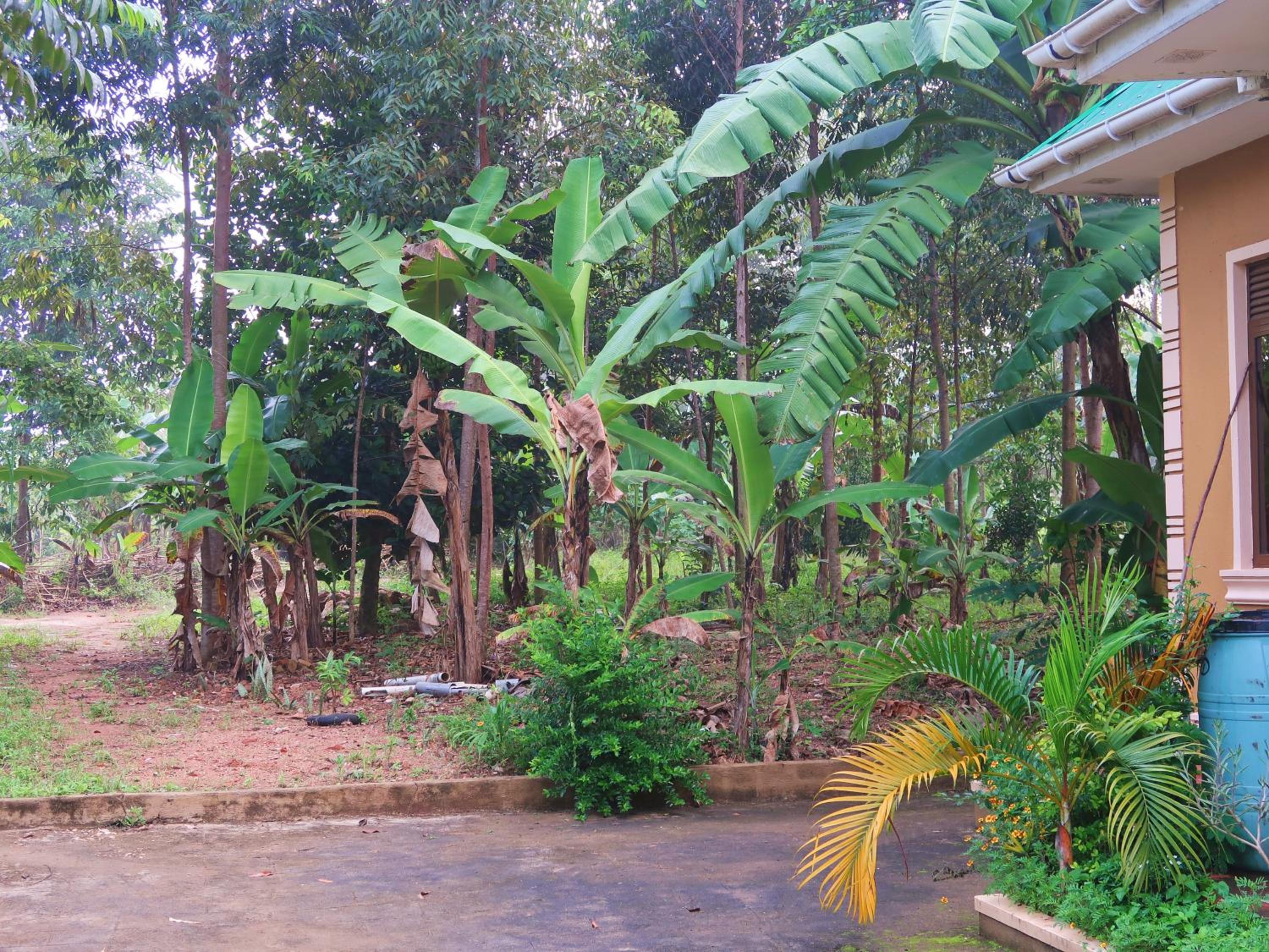 Freedom House view 2