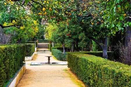 GOCCE VILLAS - Villa Aurelia una casa in collina photo 5