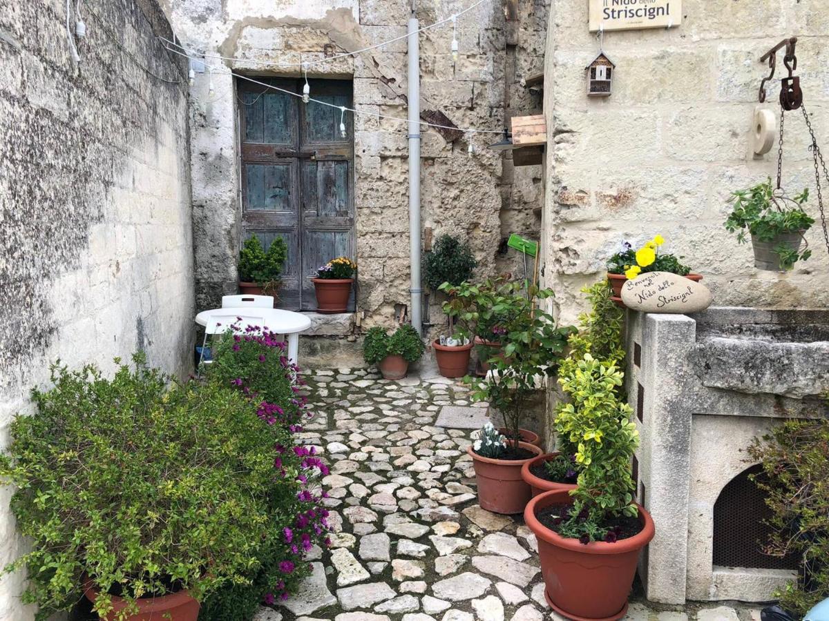 Il Nido Dello Striscignl view 2