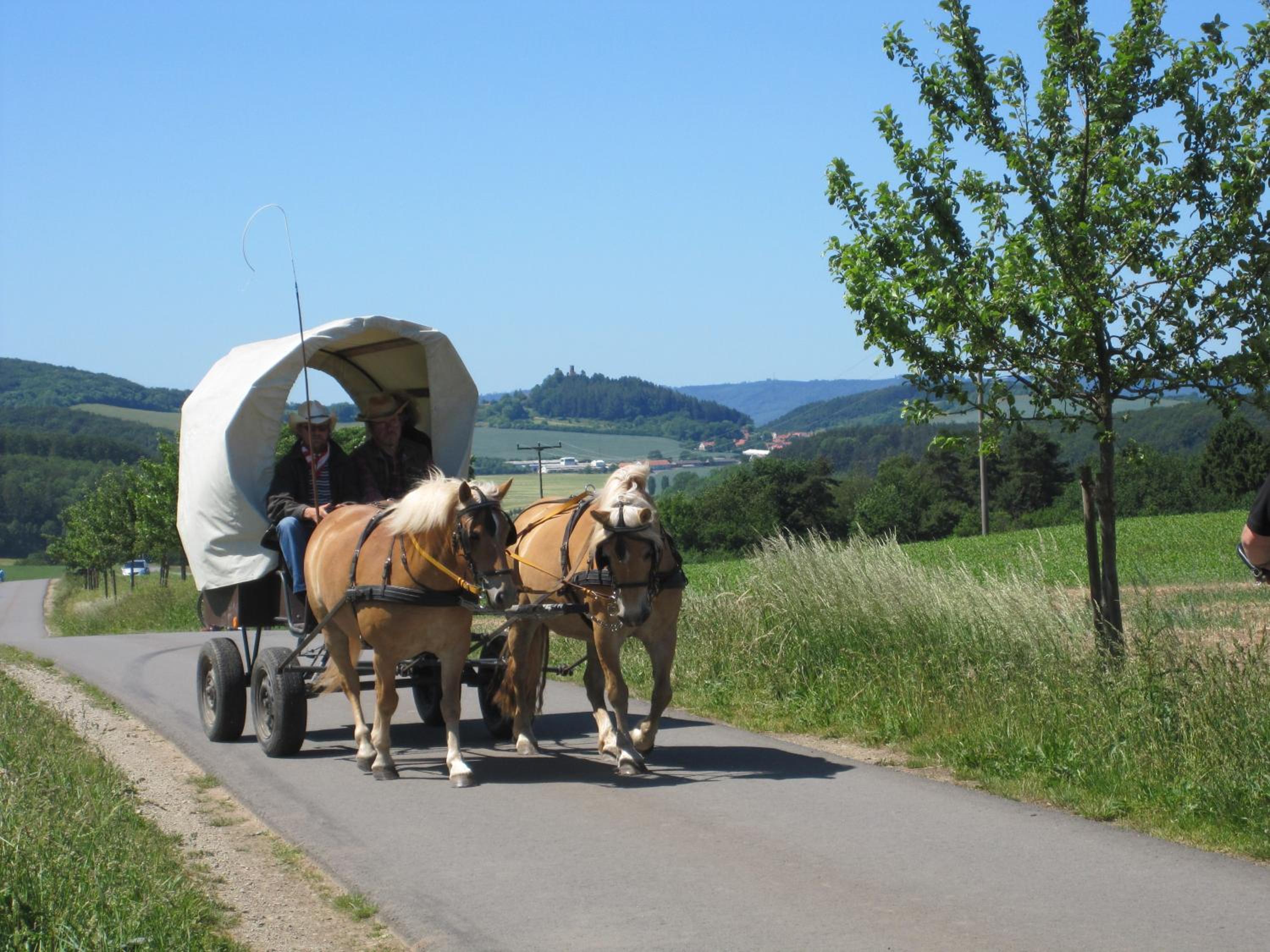 Urlaubspension 'Hohes Rott' und Apartmenthaus