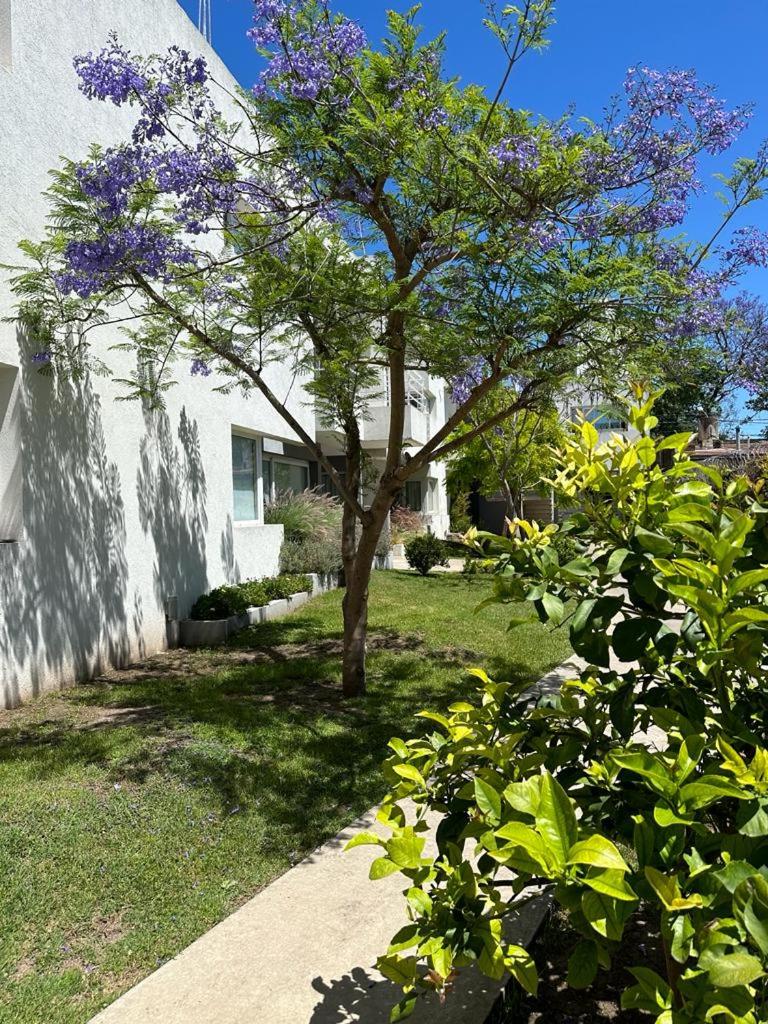 Departamento en el centro de lujan, calle mitre