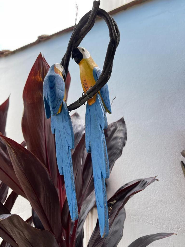 Chales Camburi